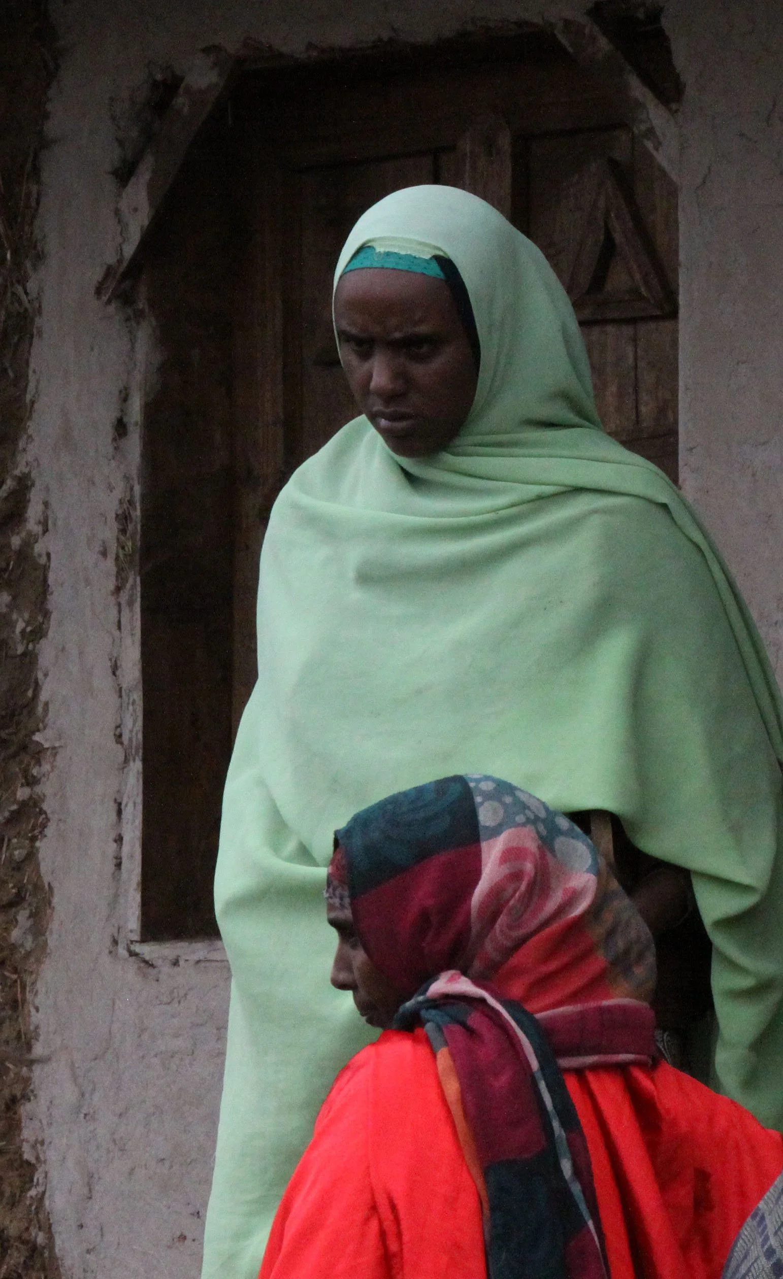 BALE MOUNTAINS NATIONAL PARK ETHIOPIA - HARRENA FOREST (7).JPG