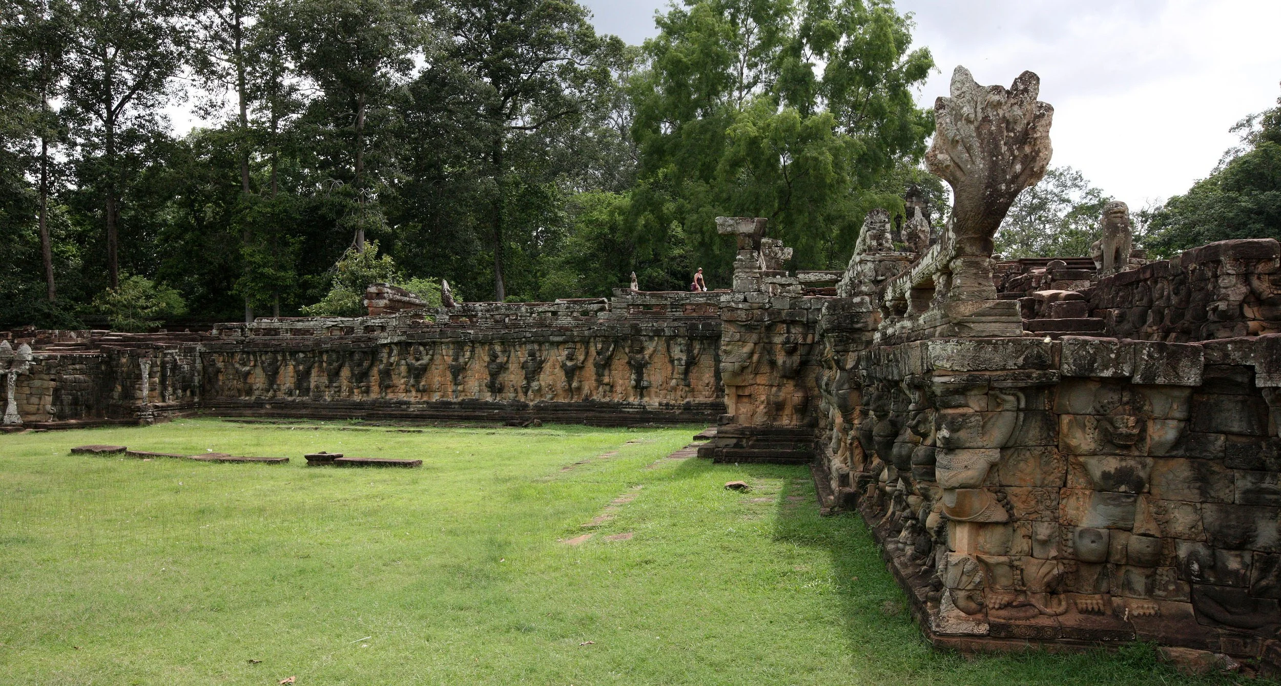 ELEPHANT TERRACE (3).JPG