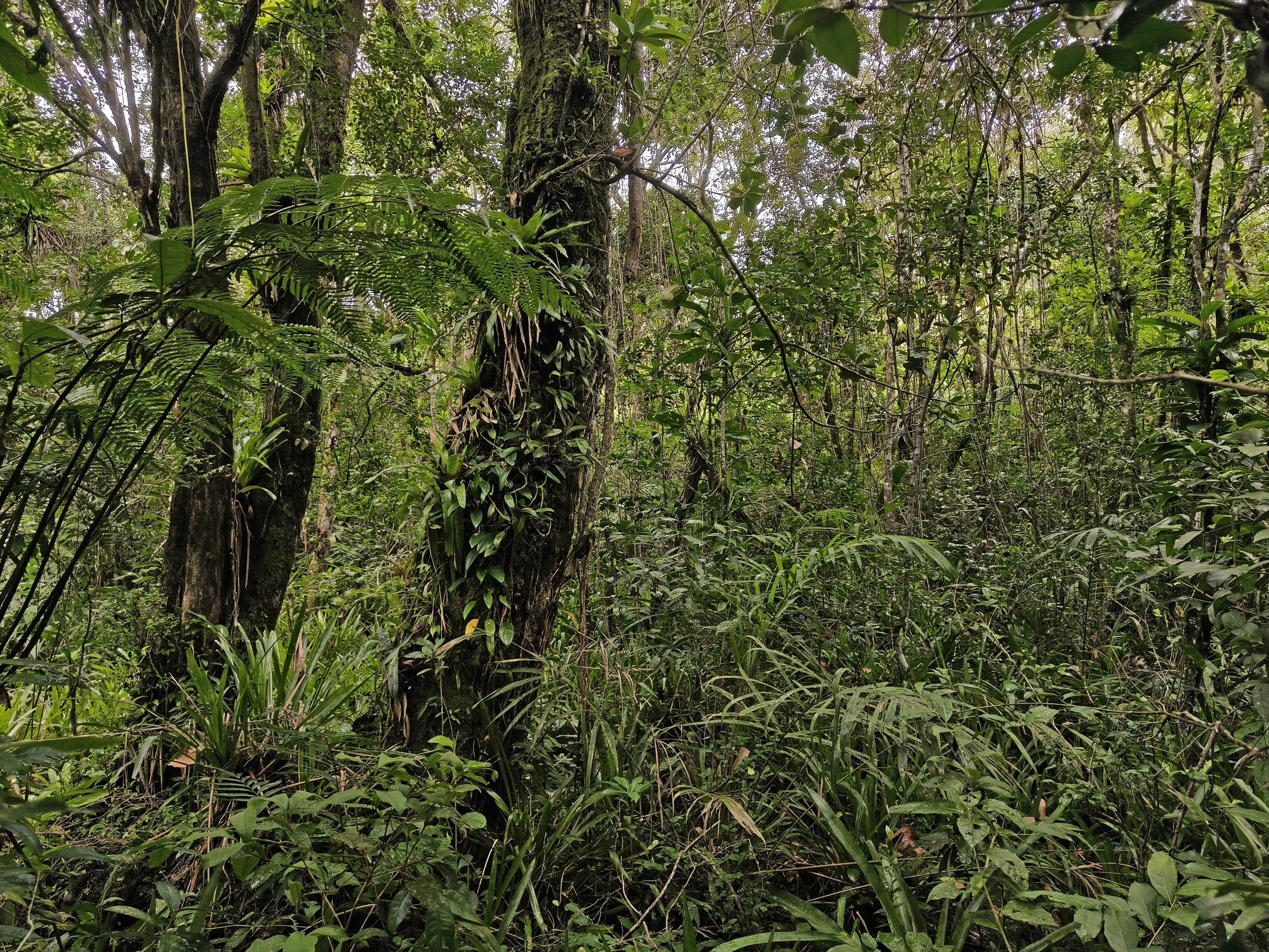 Superagüi National Park