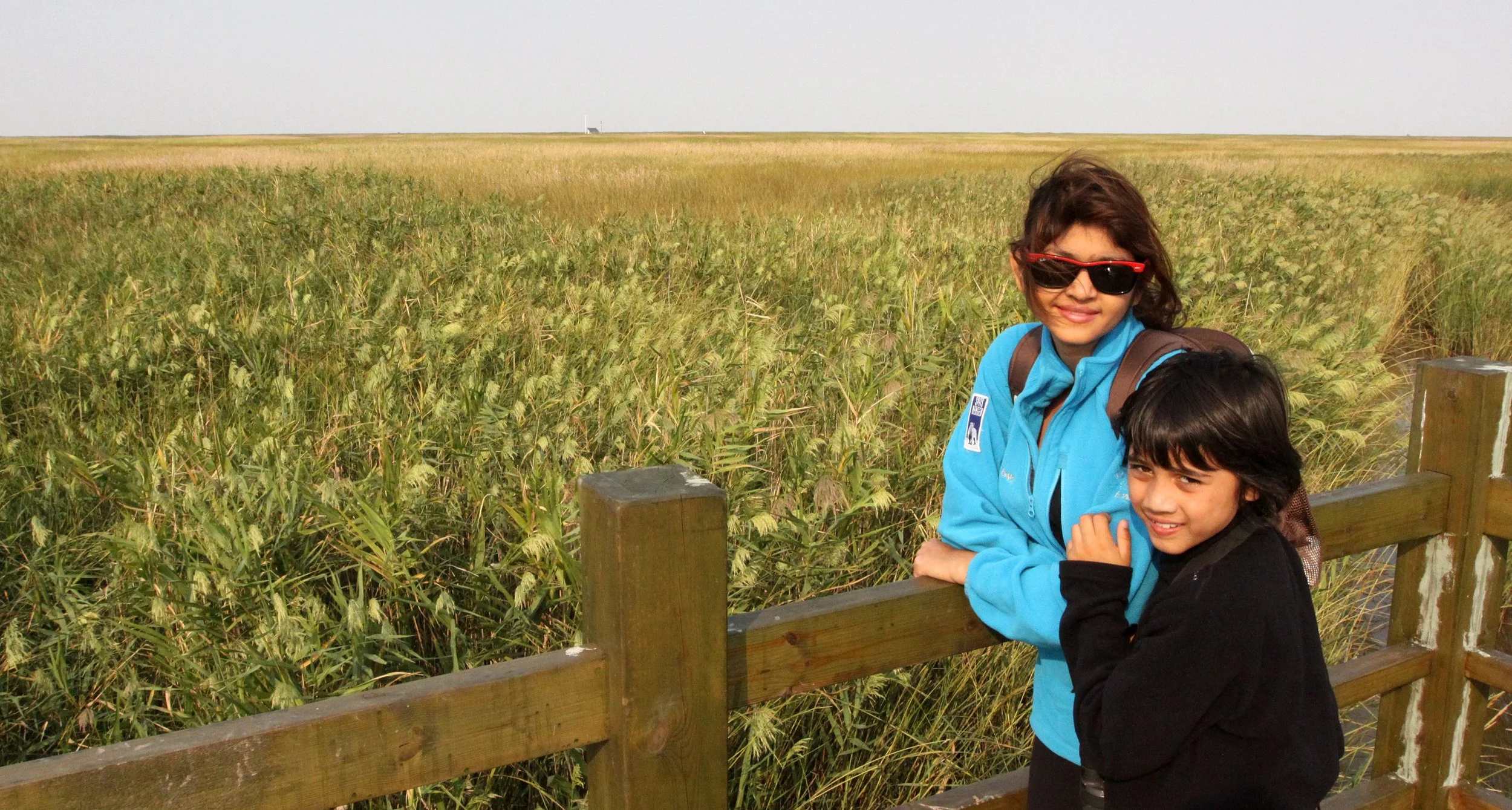 CHONGMING ISLAND - DONGTAN WETLANDS RESERVE - CHINA (31).JPG