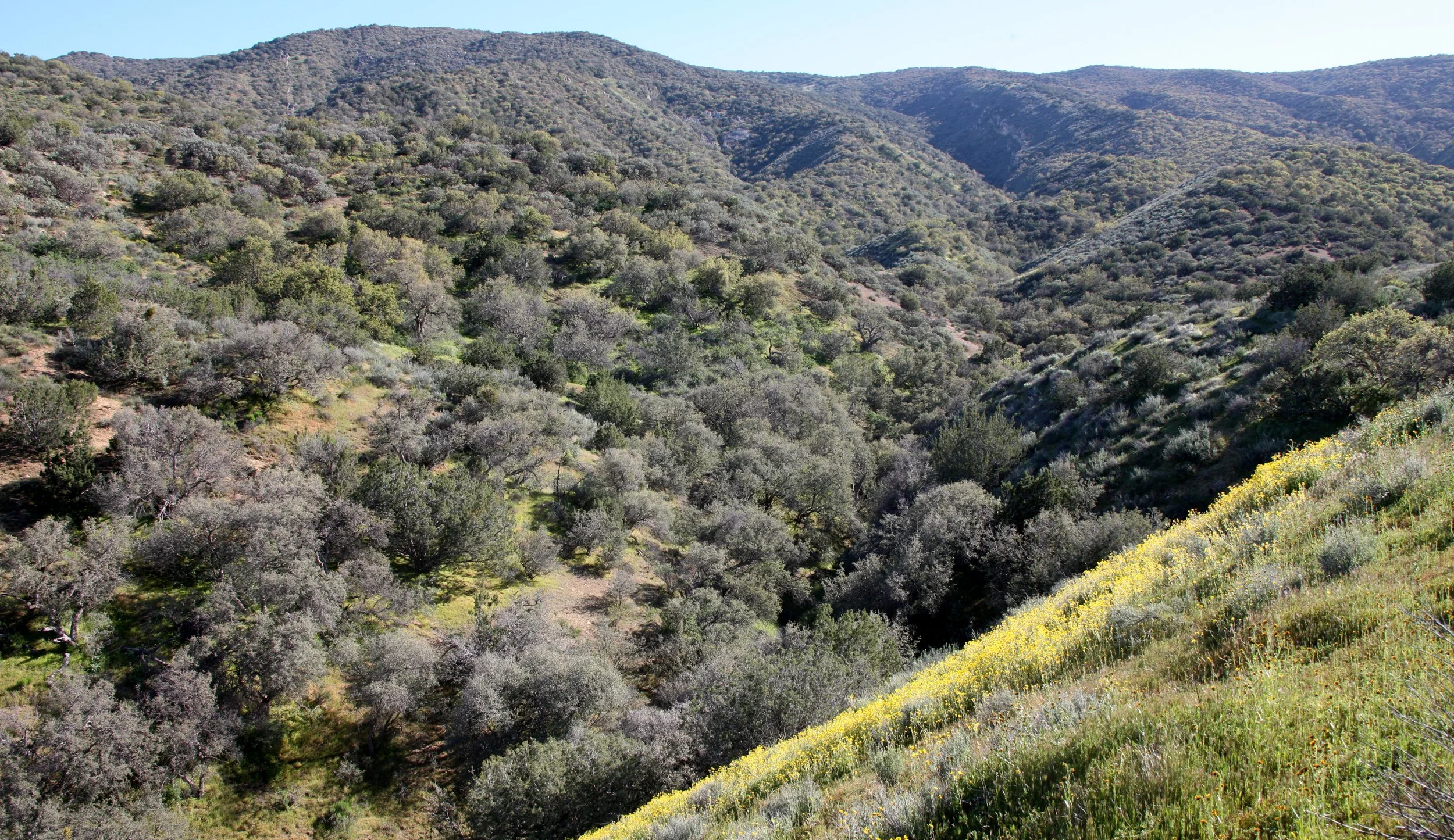 CARRIZO PLAIN NATIONAL MONUMENT - ROADTRIP 2010.JPG