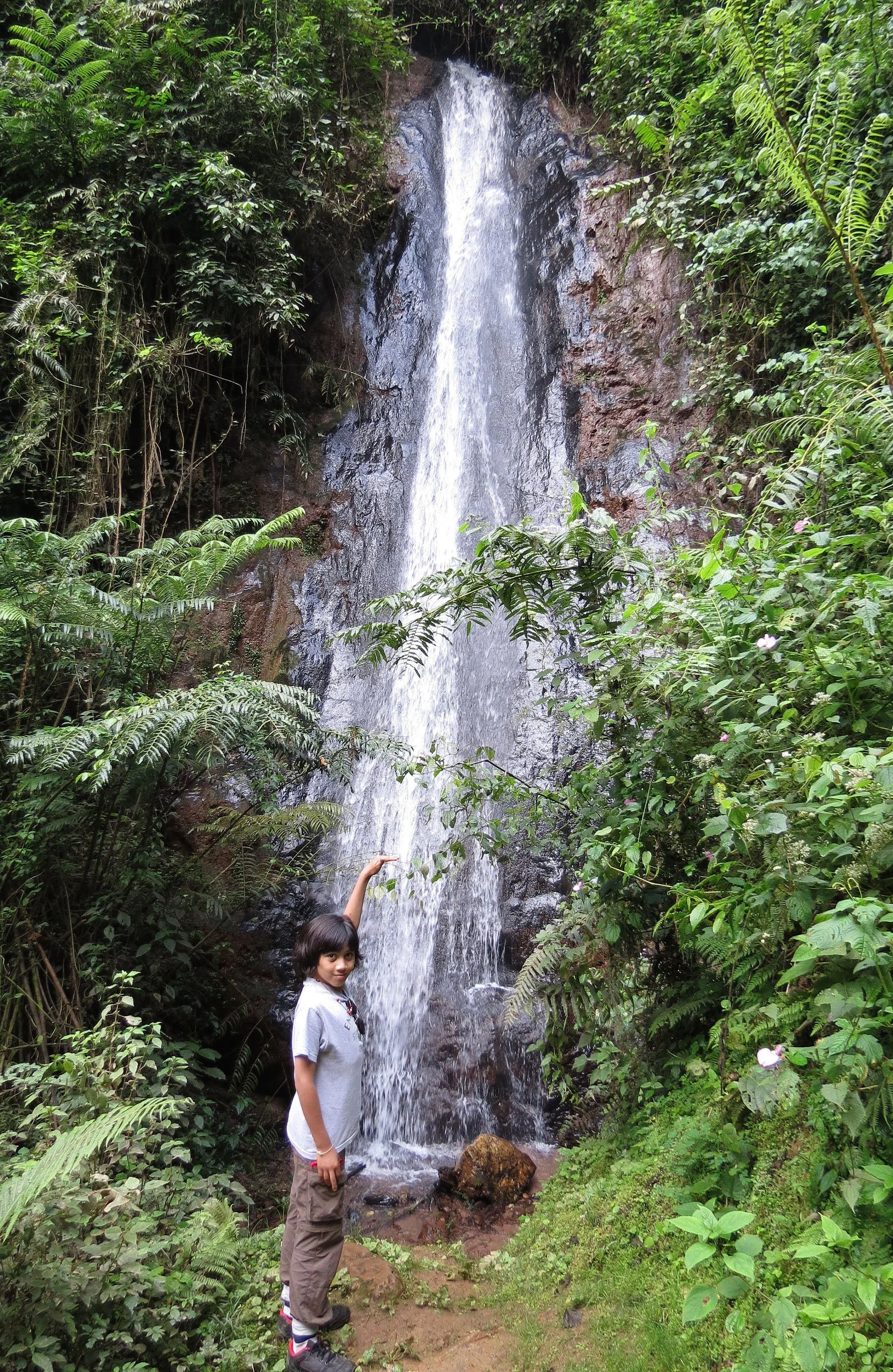 NYUNGWE NATIONAL PARK RWANDA (587).JPG