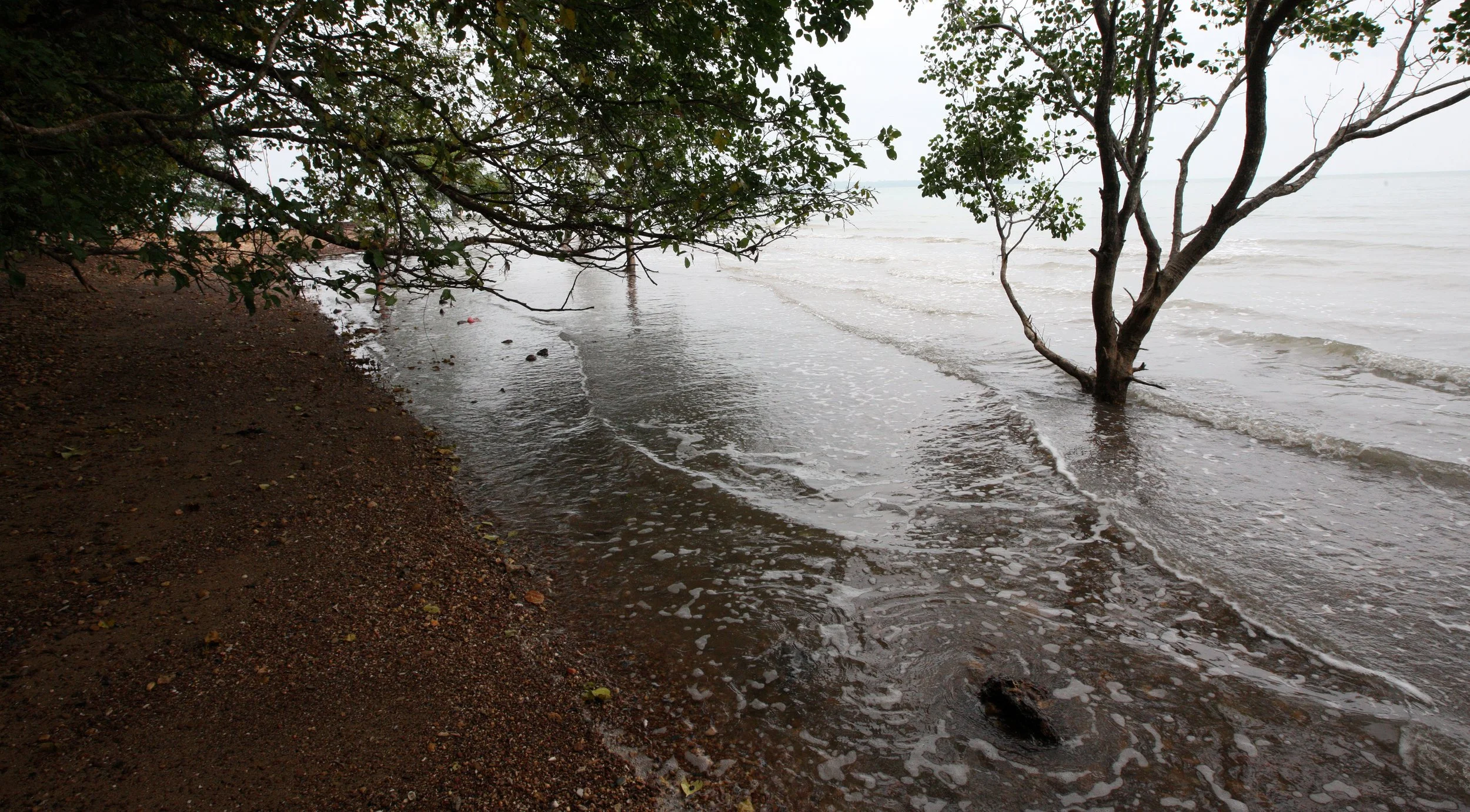 LANTA ISLAND - OUR PROPERTY - WINTER 2011 (19).JPG