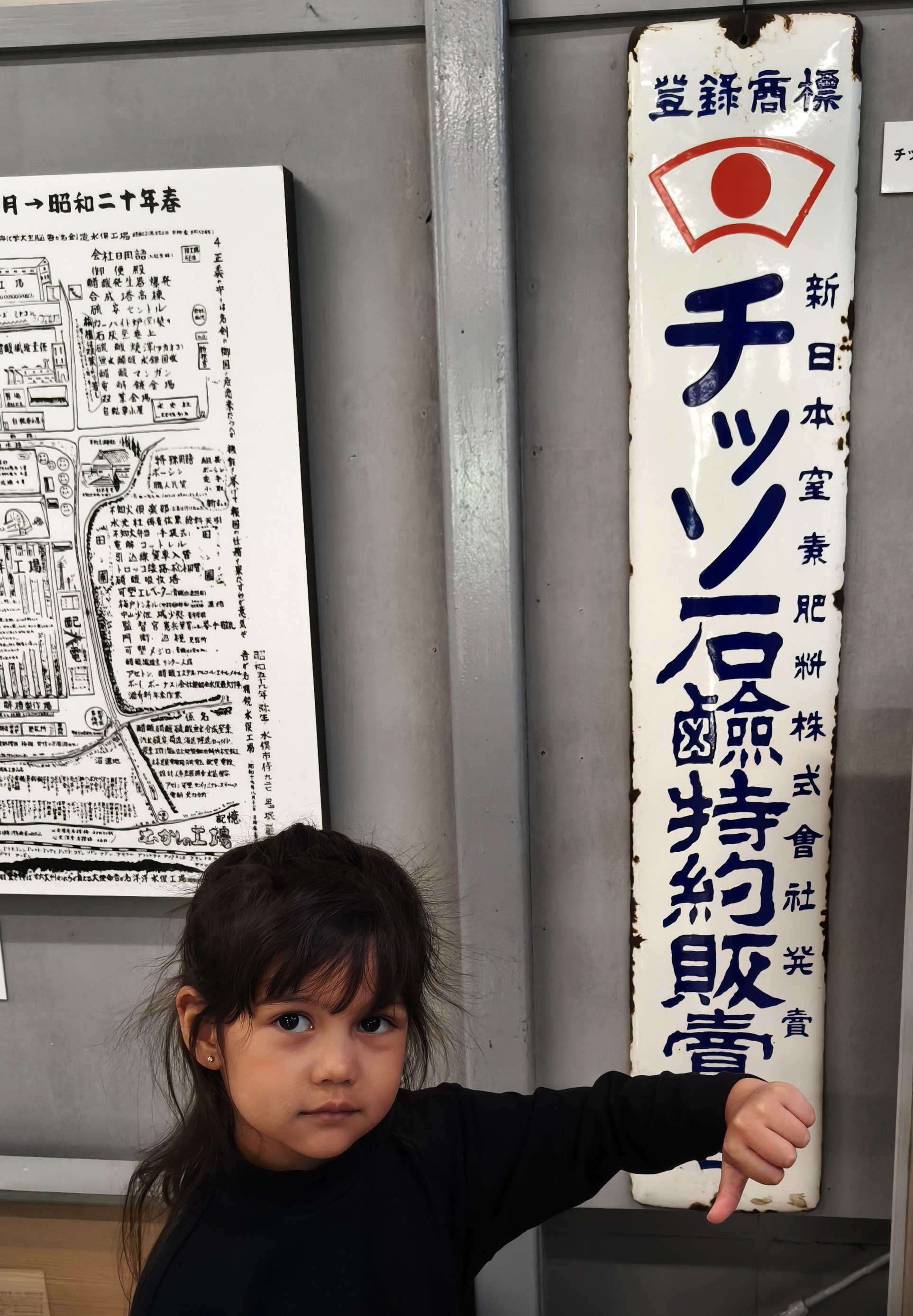 Minamata Disease Museum Kagoshima Japan (2).jpg