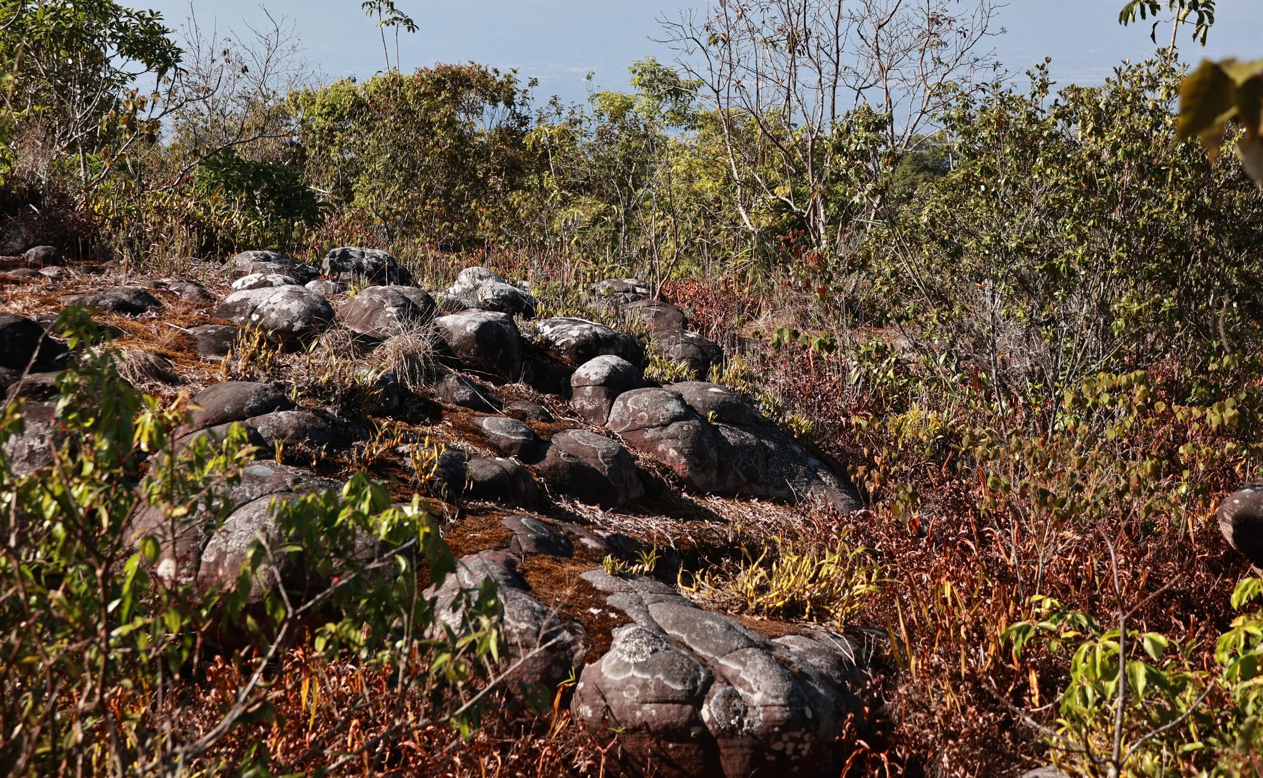 Phu Hin Rong Kla National Park Loei Province (44).jpg