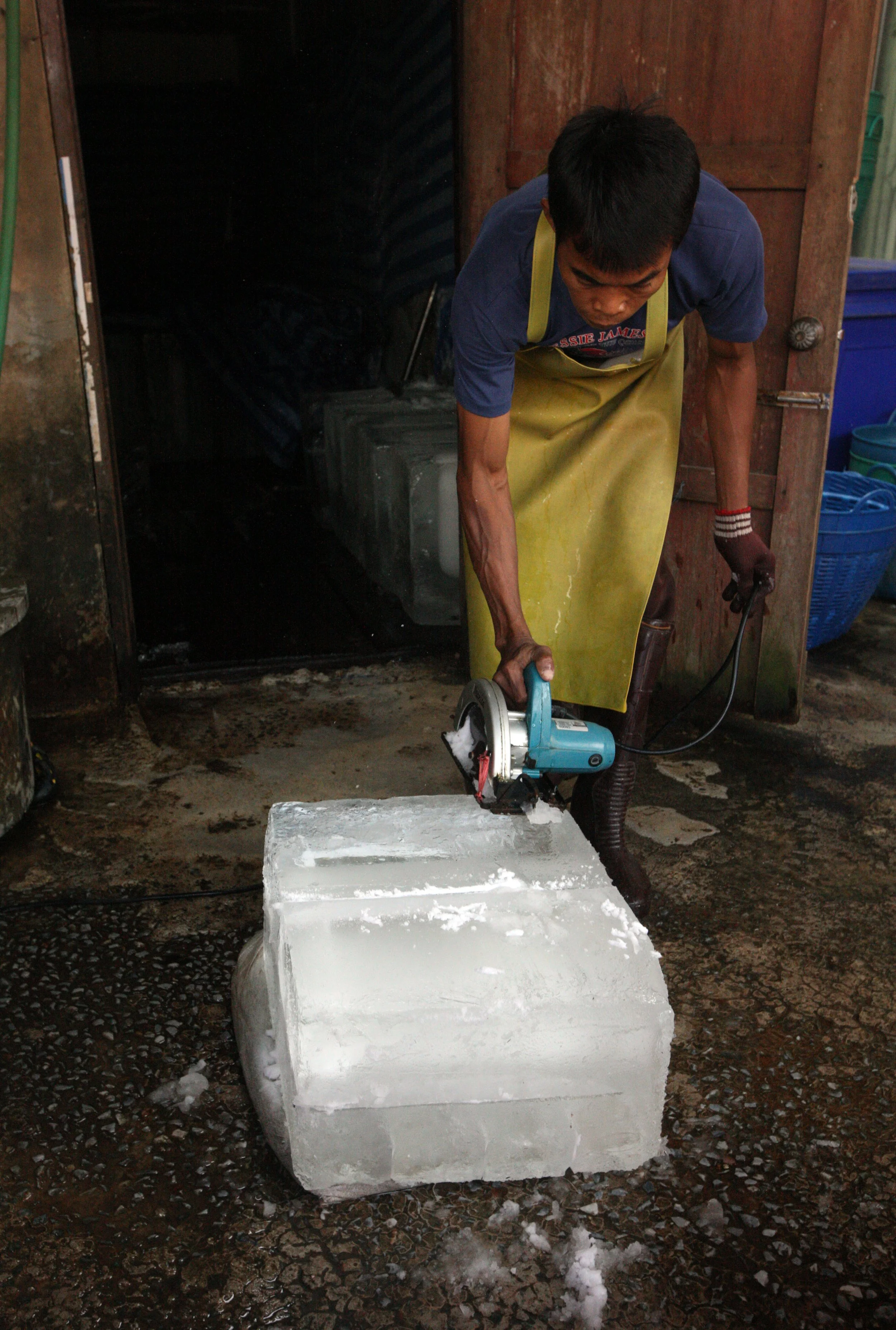 2014 Huai Kha Khaeng Bruce Kekule Trip (193).JPG