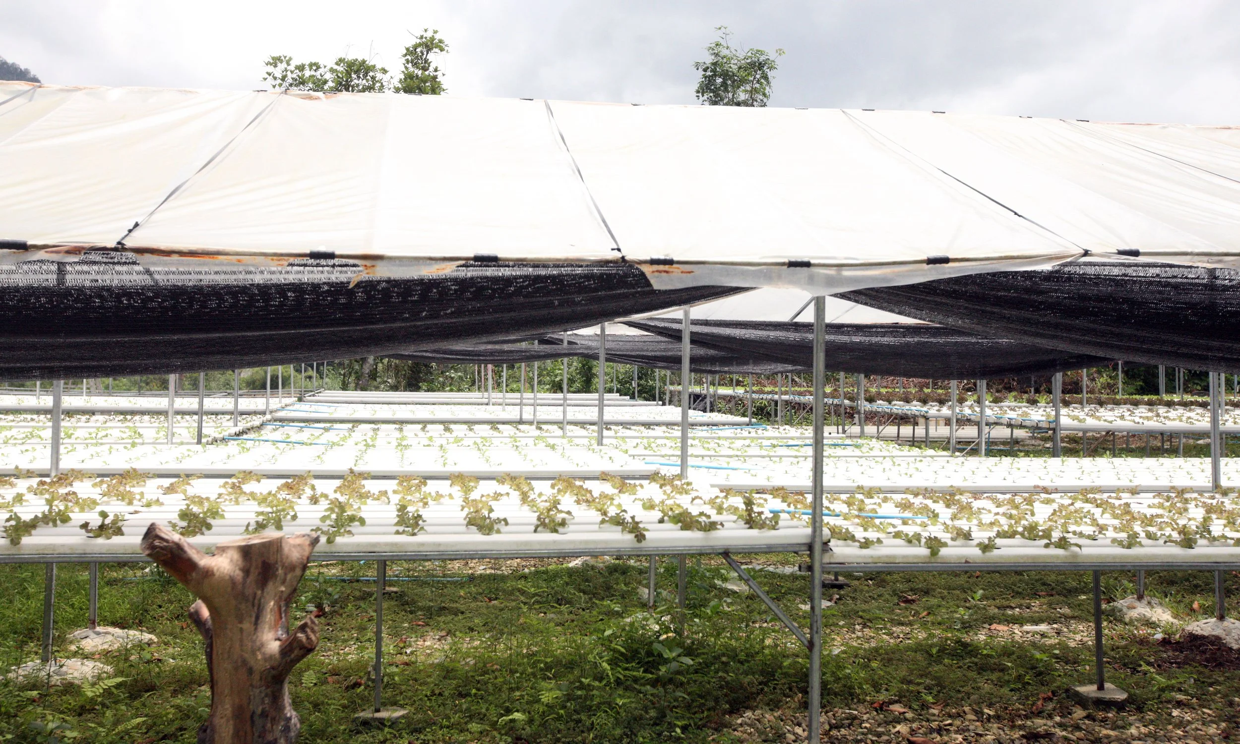 2014 Nakhonsithammarat with Family (16).JPG