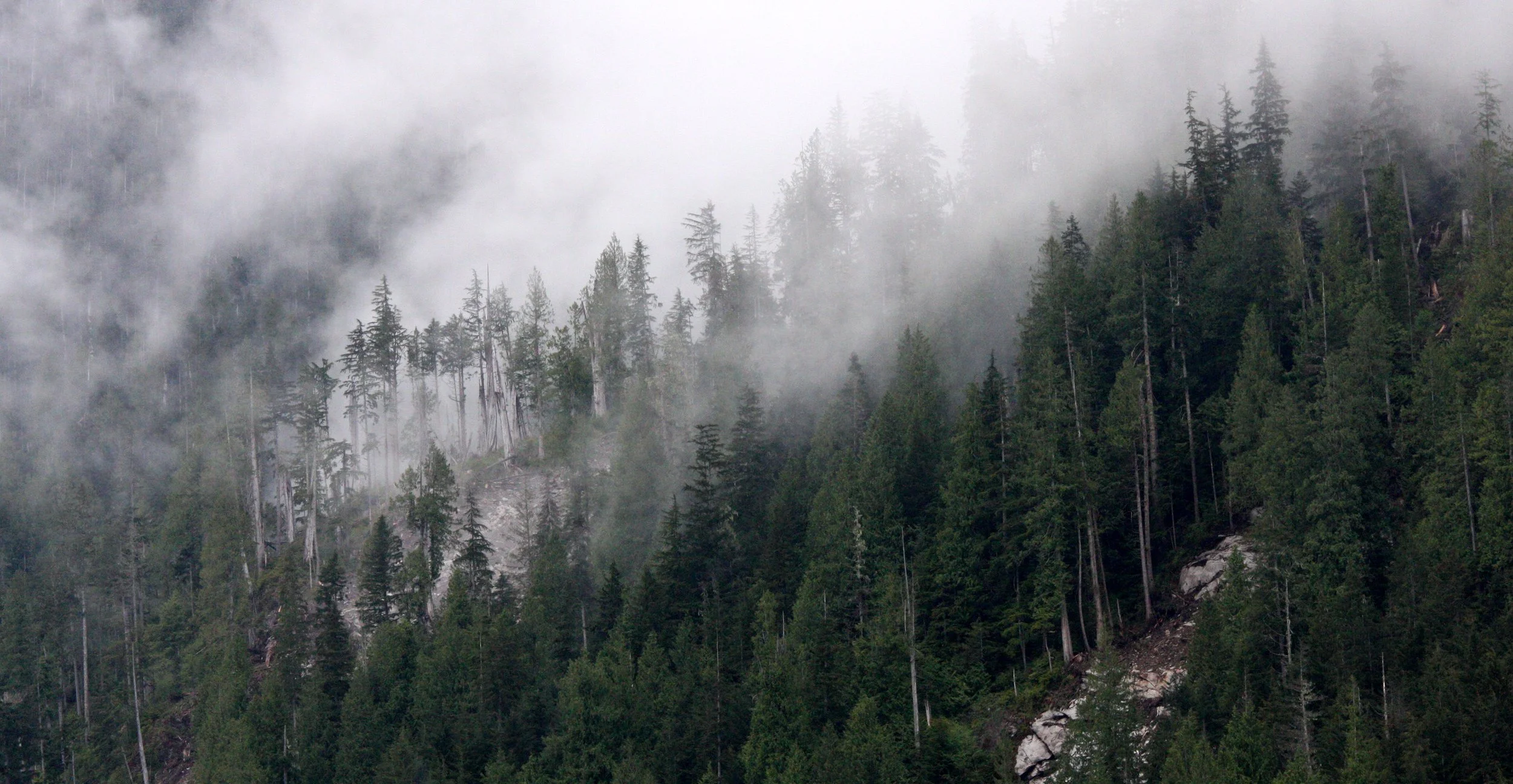 KNIGHT'S INLET BRITISH COLUMBIA (23).JPG