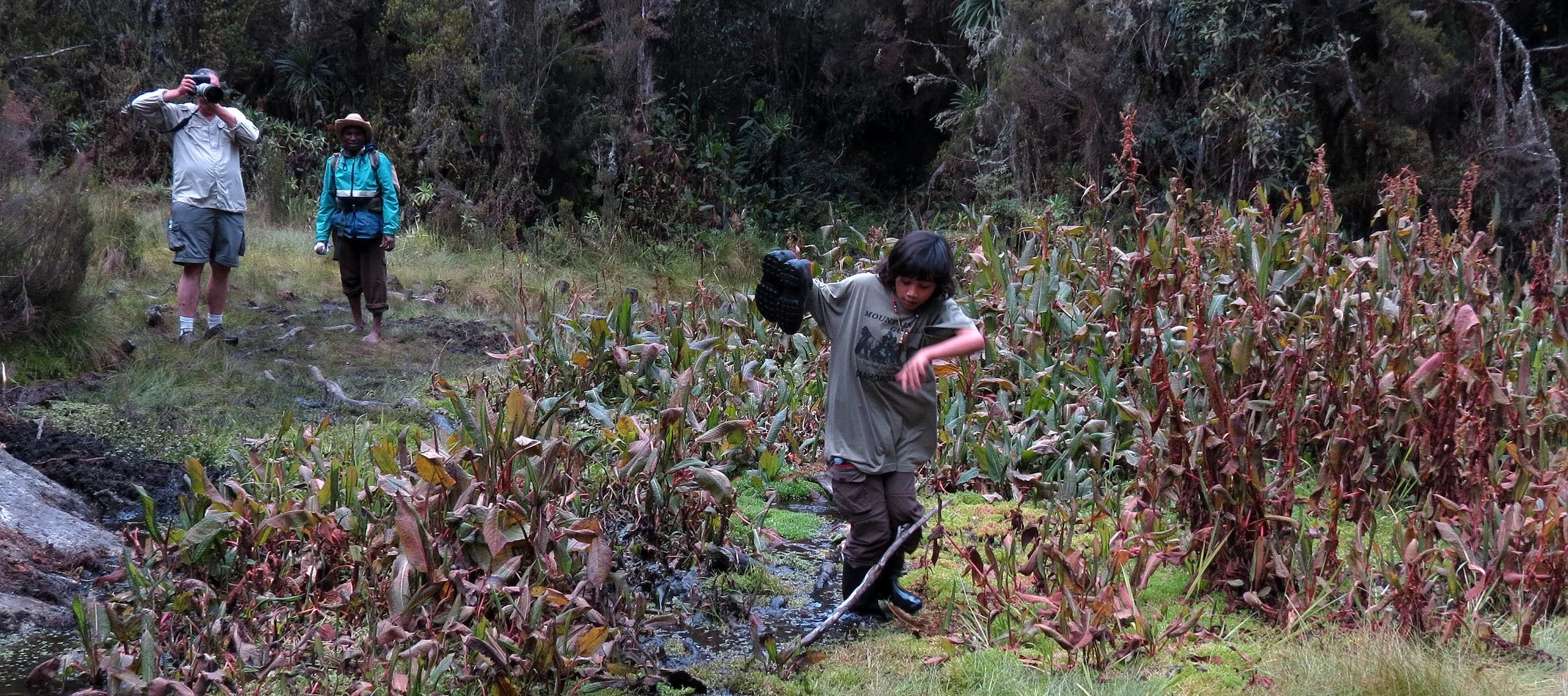RWENZORI NATIONAL PARK UGANDA (158).JPG