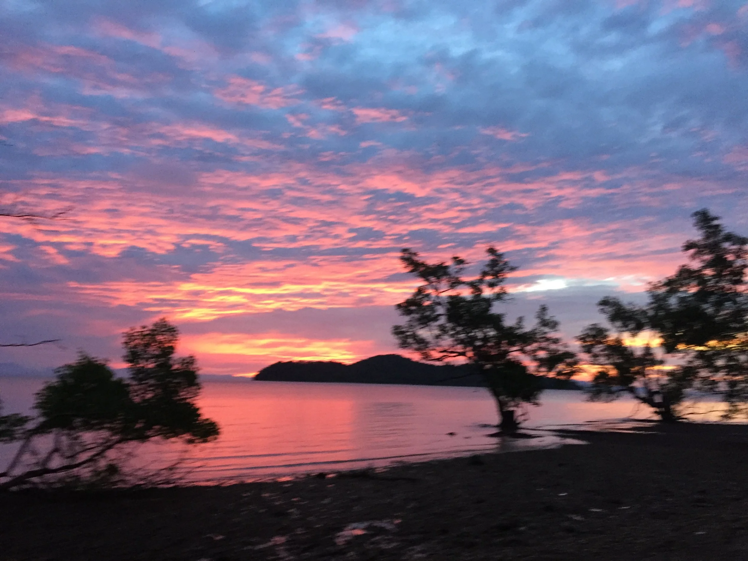 2015 Koh Lanta Garden & Nature (296).JPG