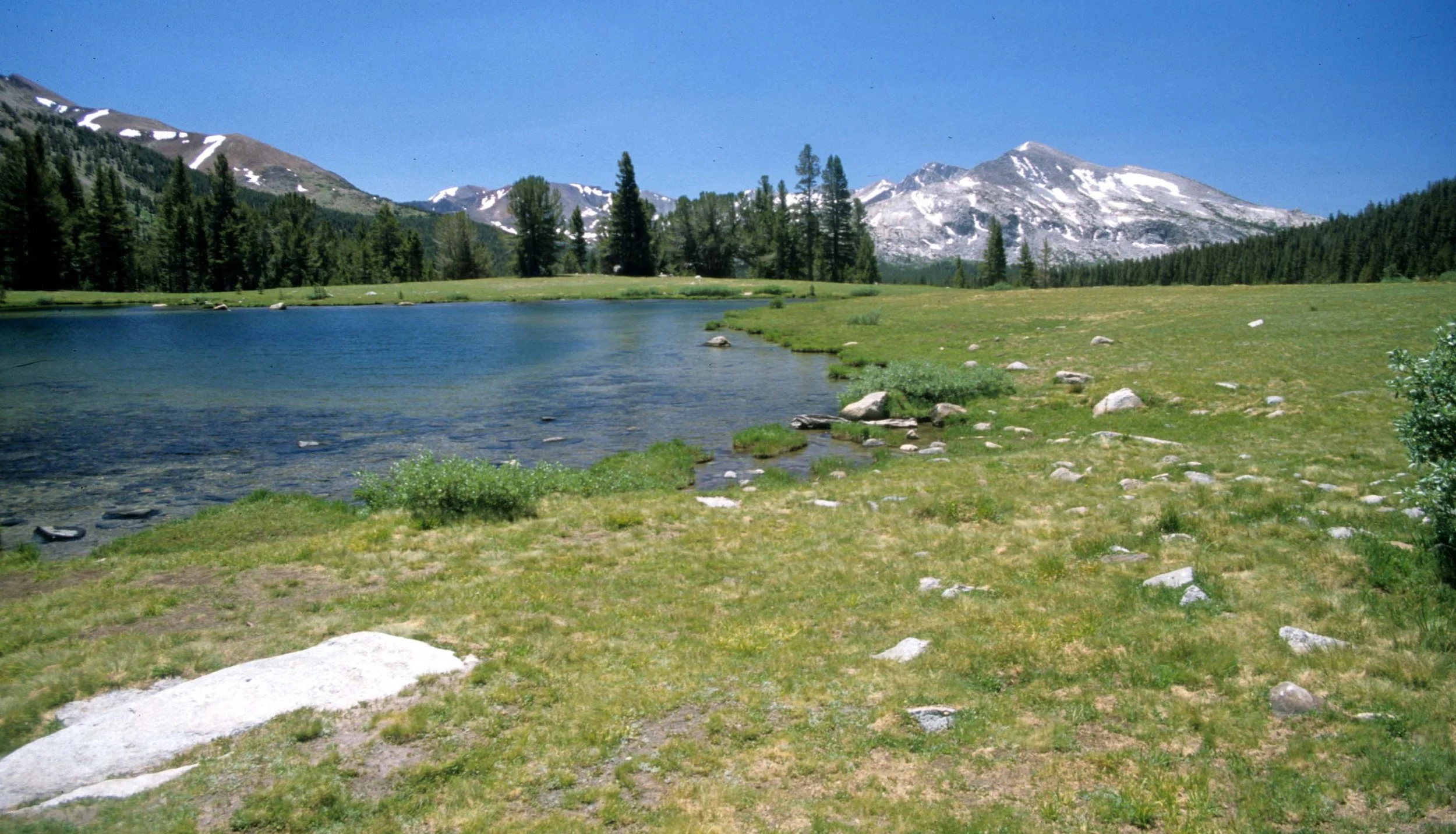 CALIFORNIA - YOSEMITE NATIONAL PARK (4).jpg