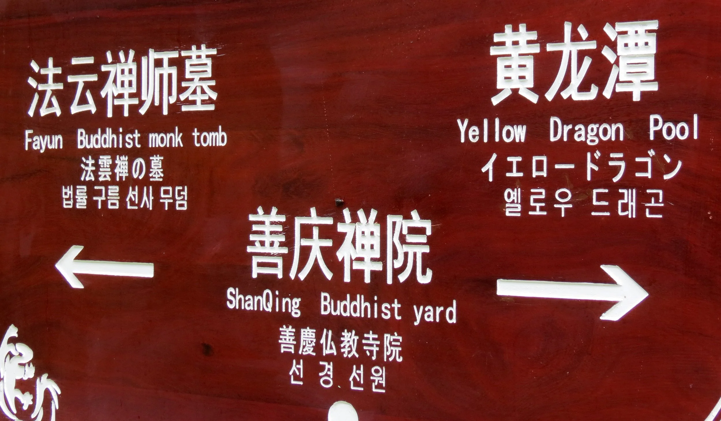 GUNIUJIANG NATURE RESERVE - ANHUI PROVINCE CHINA (58).JPG