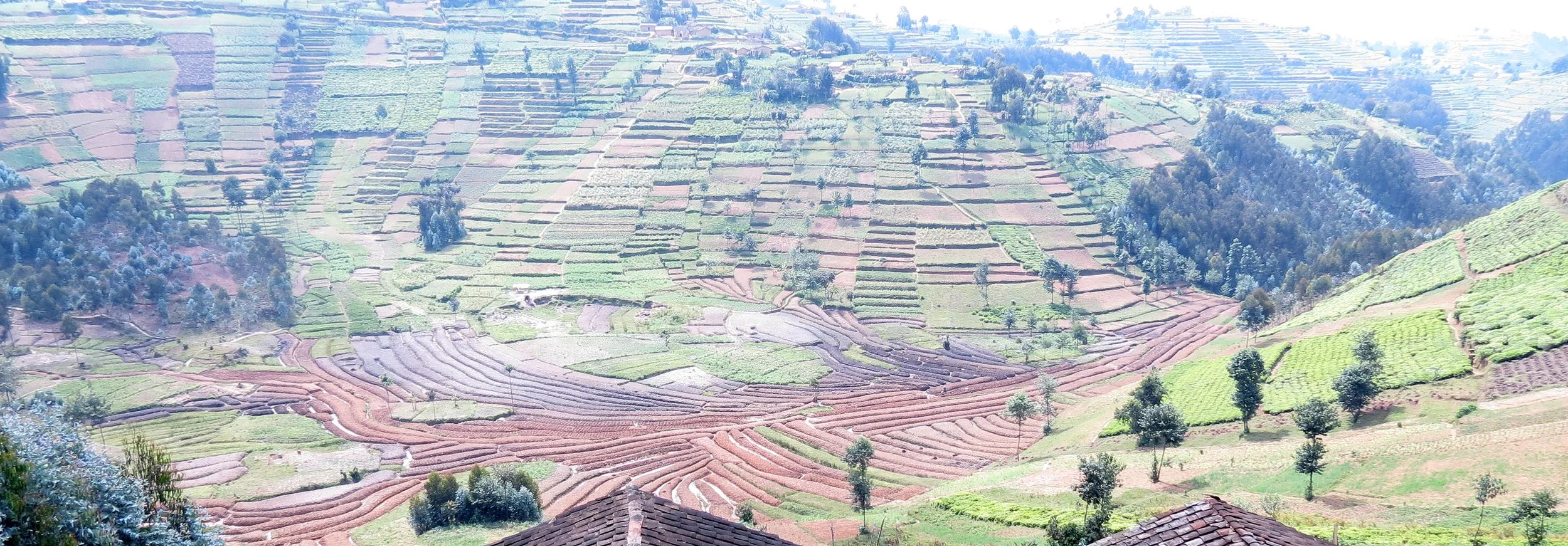 BUTARE RWANDA (29).JPG