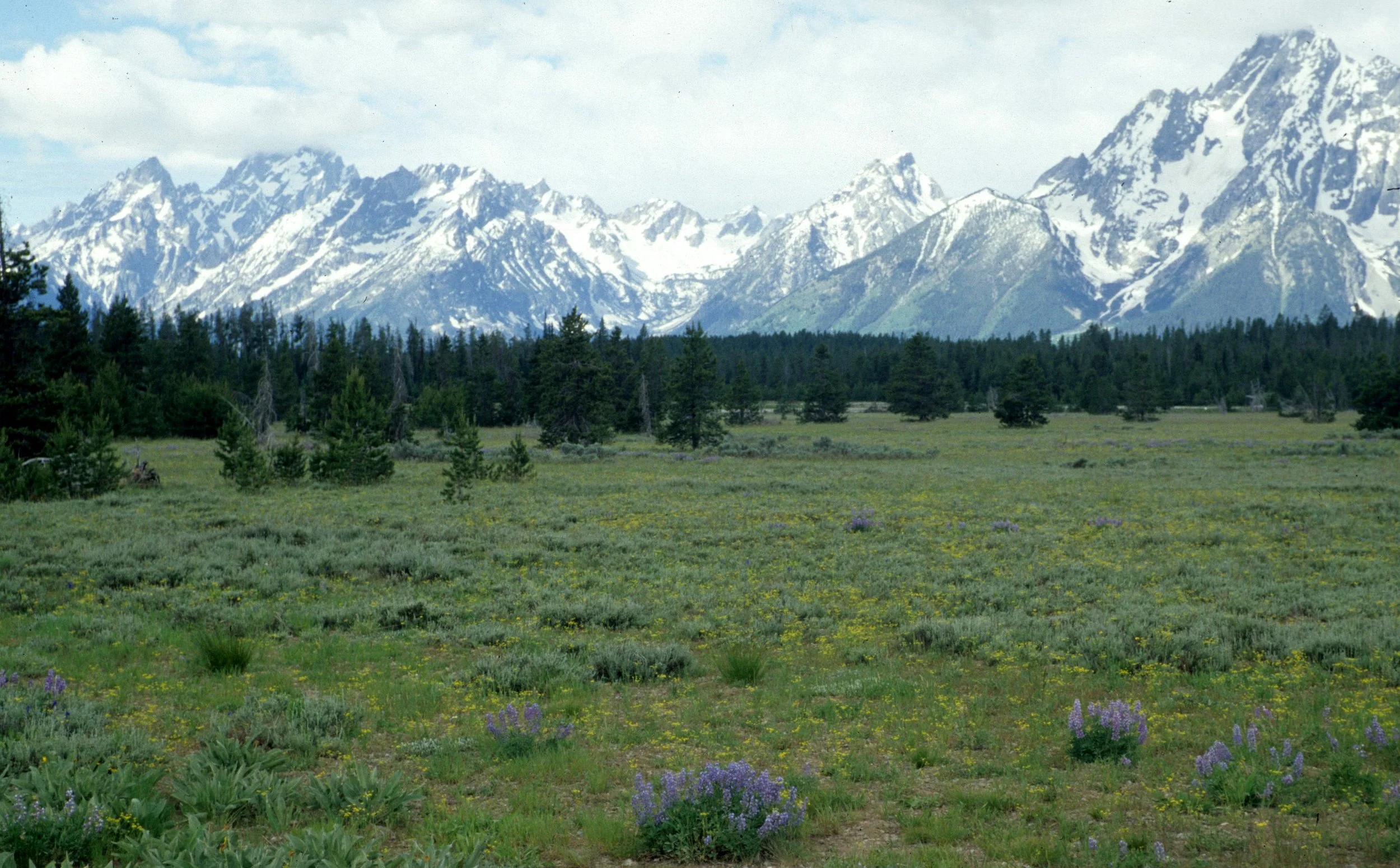 WYOMING - GRAND TETONS B.jpg