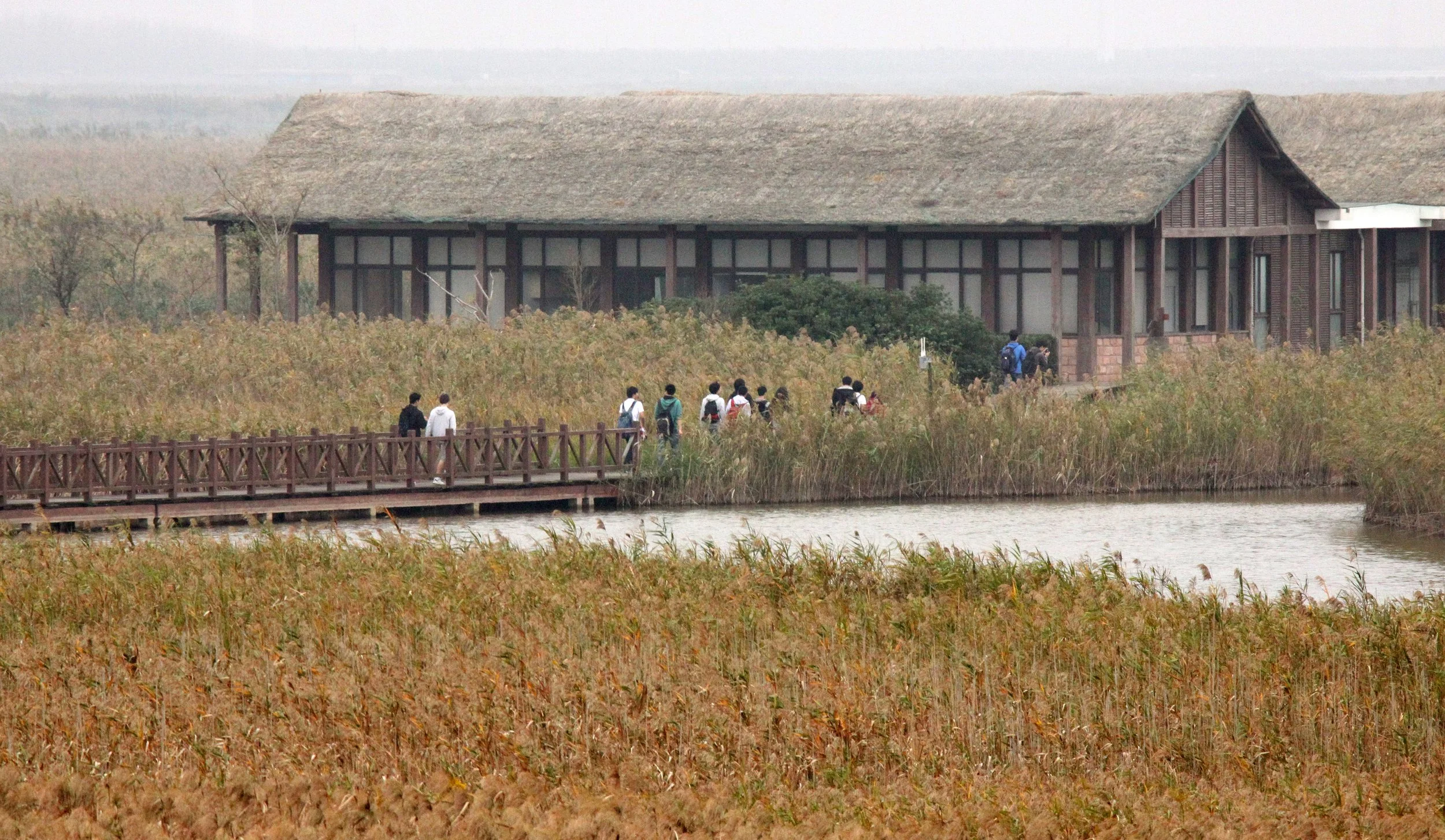 CHONGMING ISLAND DONGTAN WETLANDS RESERVE FIELD TRIP 2011 (32).JPG