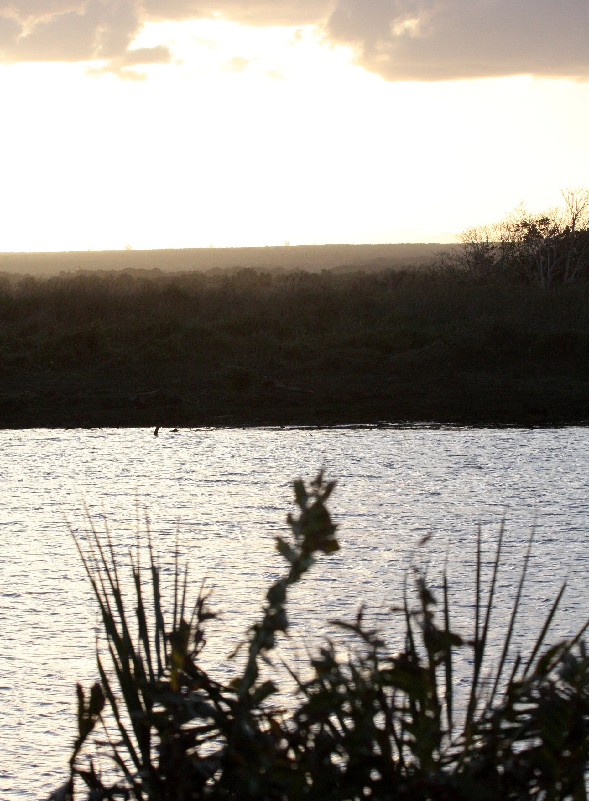SAINT LUCIA WETLANDS RESERVE - SOUTH AFRICA - SUNSET.JPG
