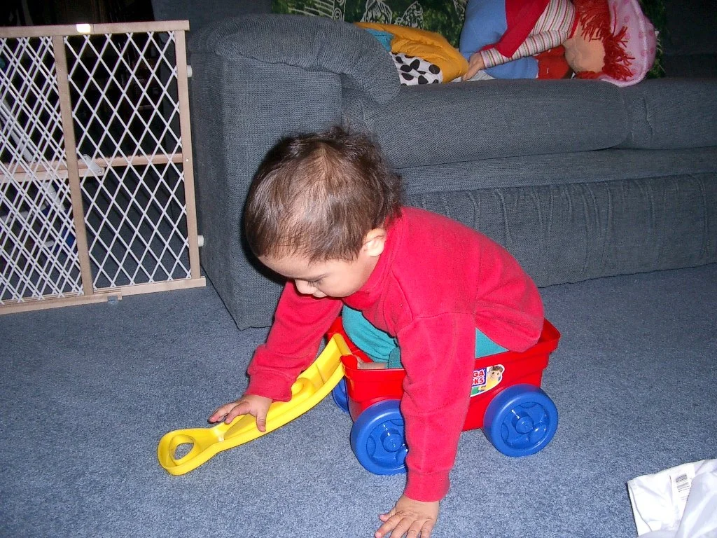 2003-11-16 COKIE PLAYING AT HOME (23).JPG