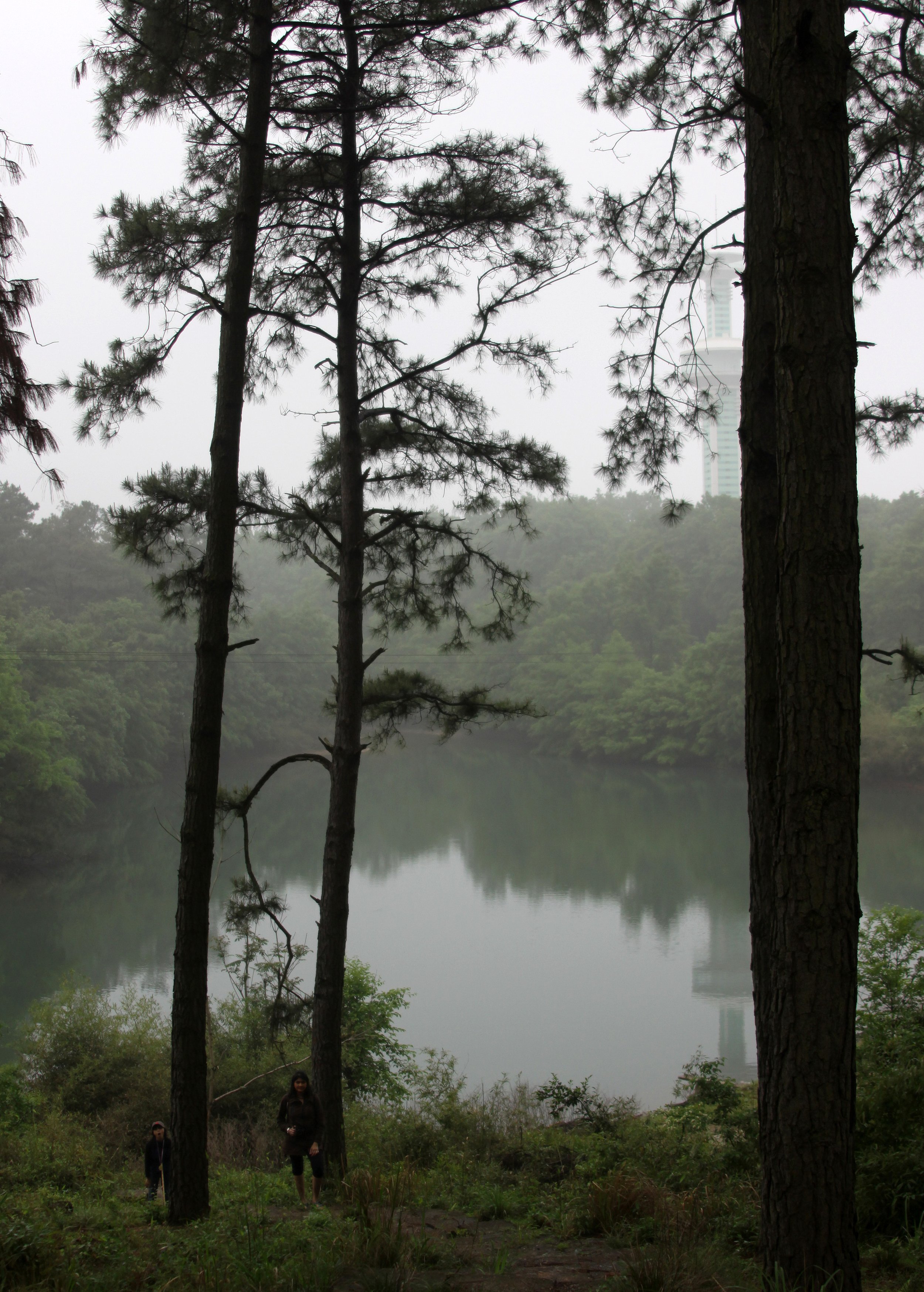 CHINESE ALLIGATOR BREEDING CENTER - XUANCHENG CHINA (15).JPG