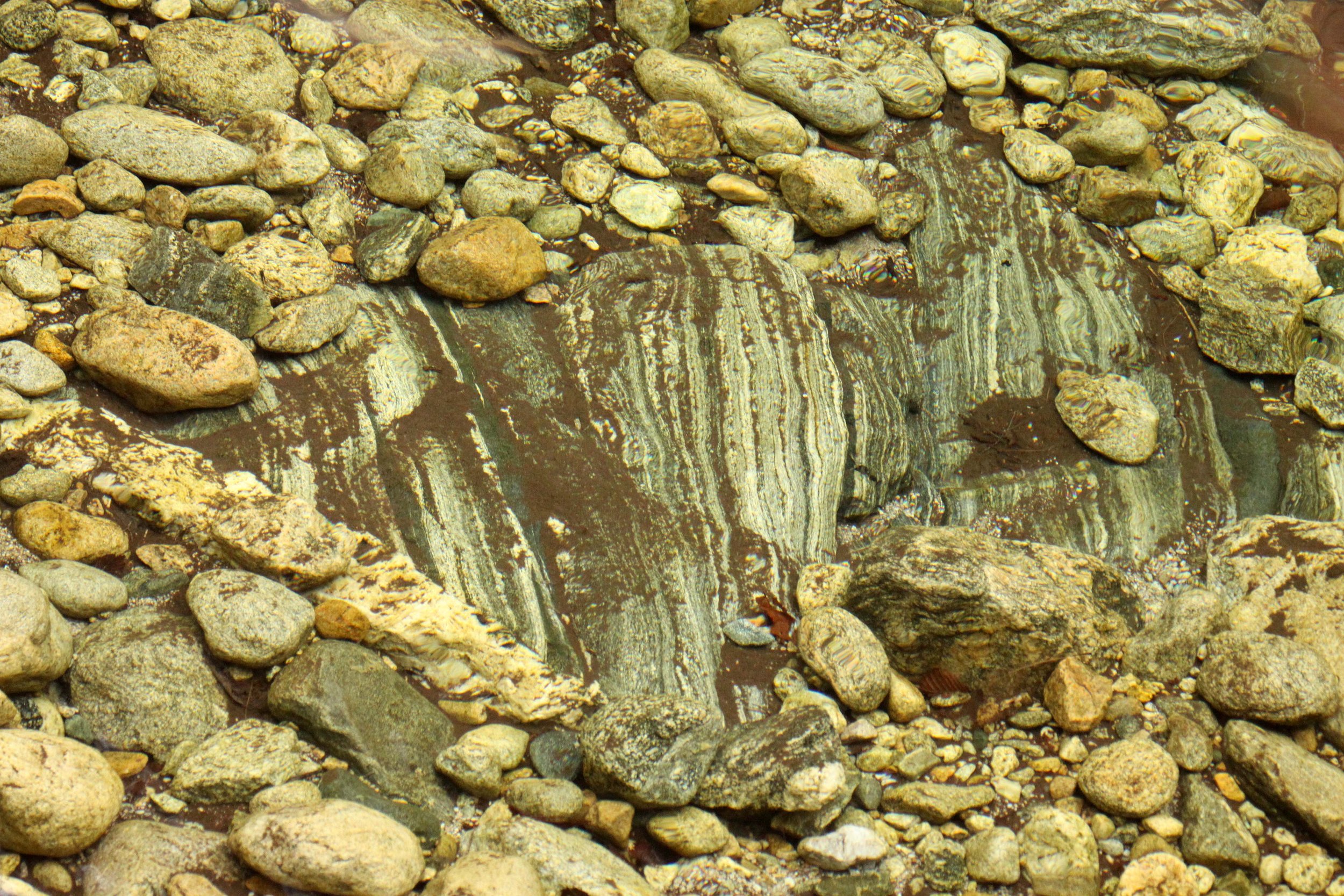 FOPING NATURE RESERVE - SHAANXI PROVINCE CHINA (107).JPG