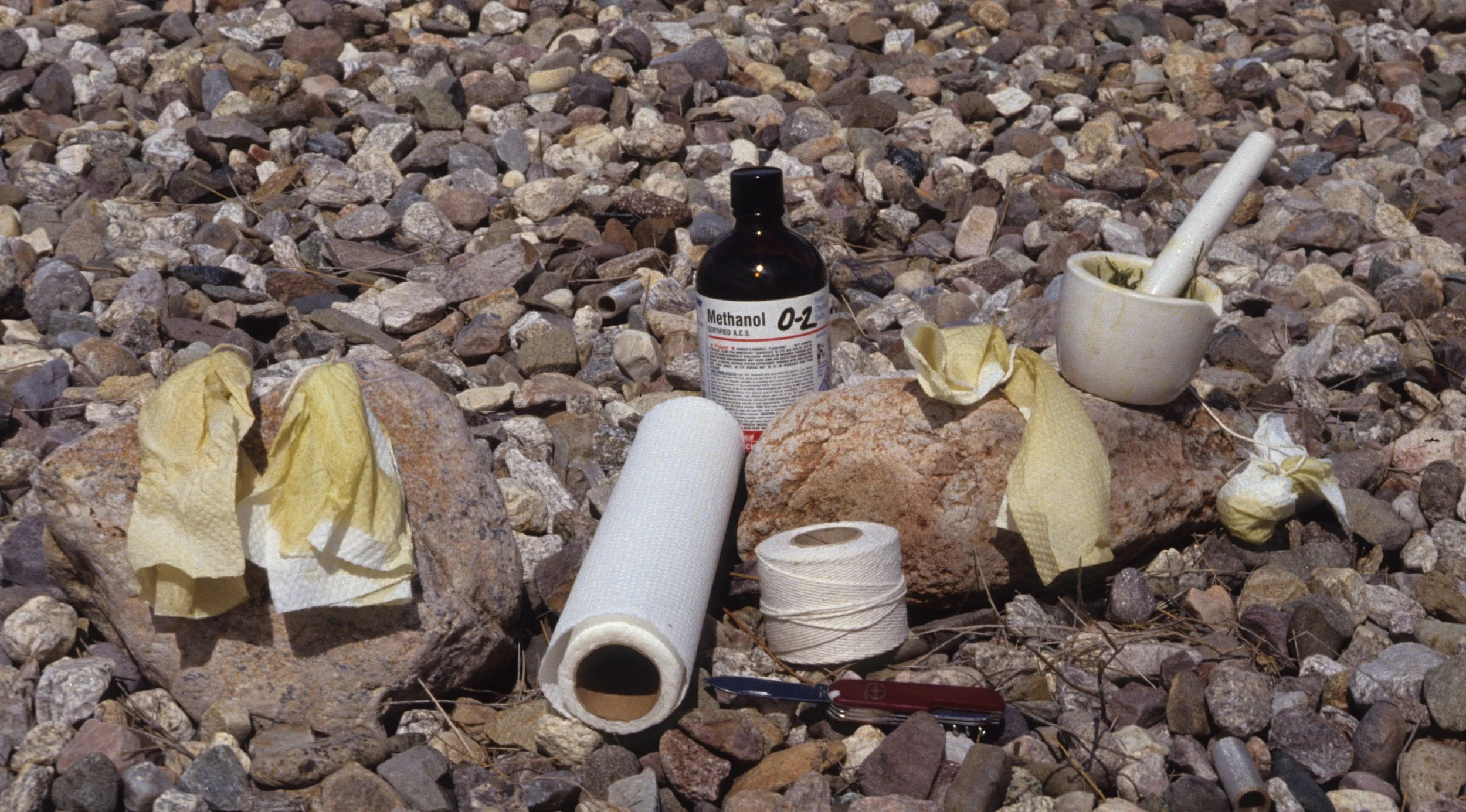 ARIZONA - MADERA CANYON - RESEARCH - DATA COLLECTION I.jpg