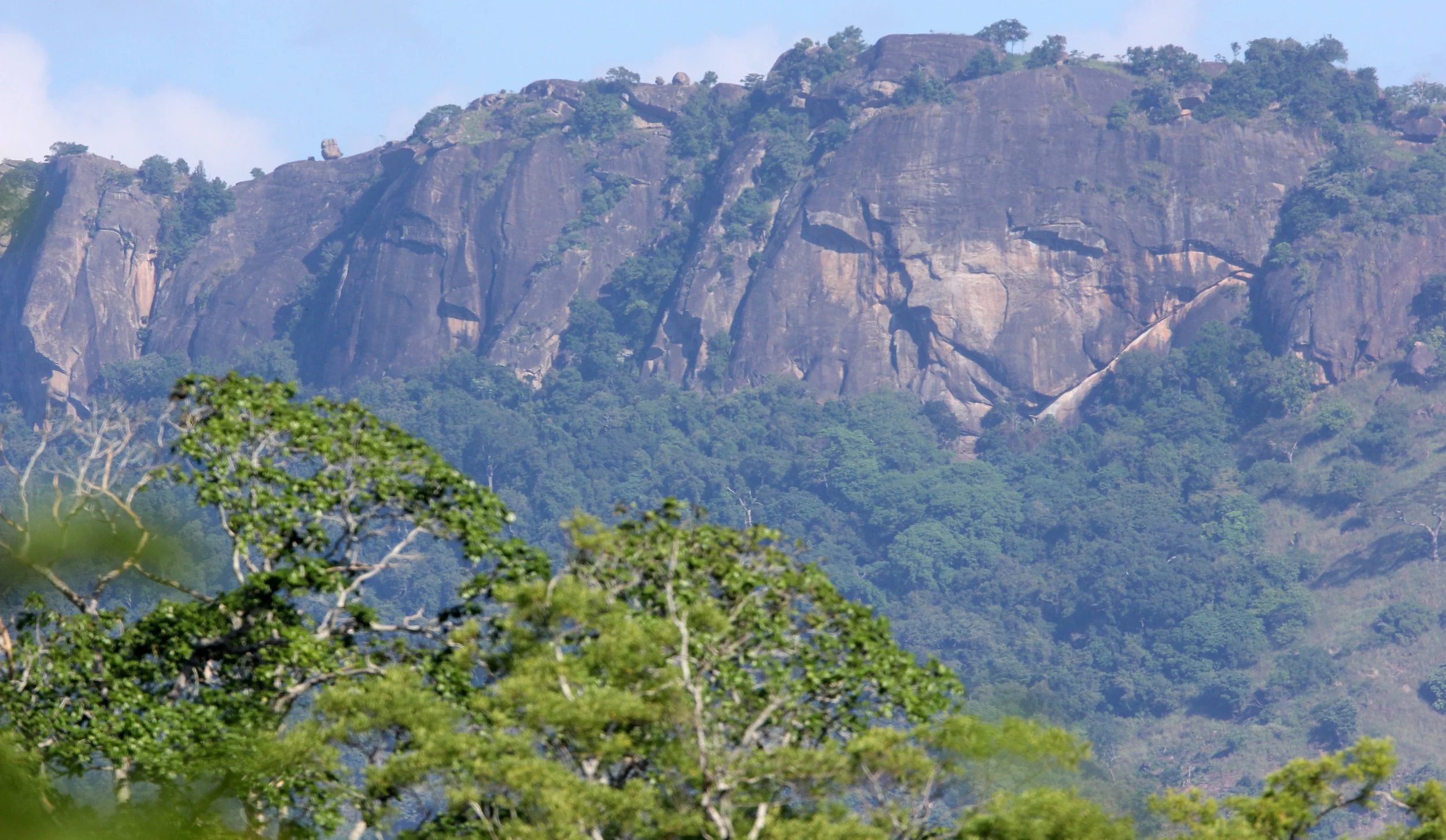 UDAWALAWA NATIONAL PARK SRI LANKA (28).JPG