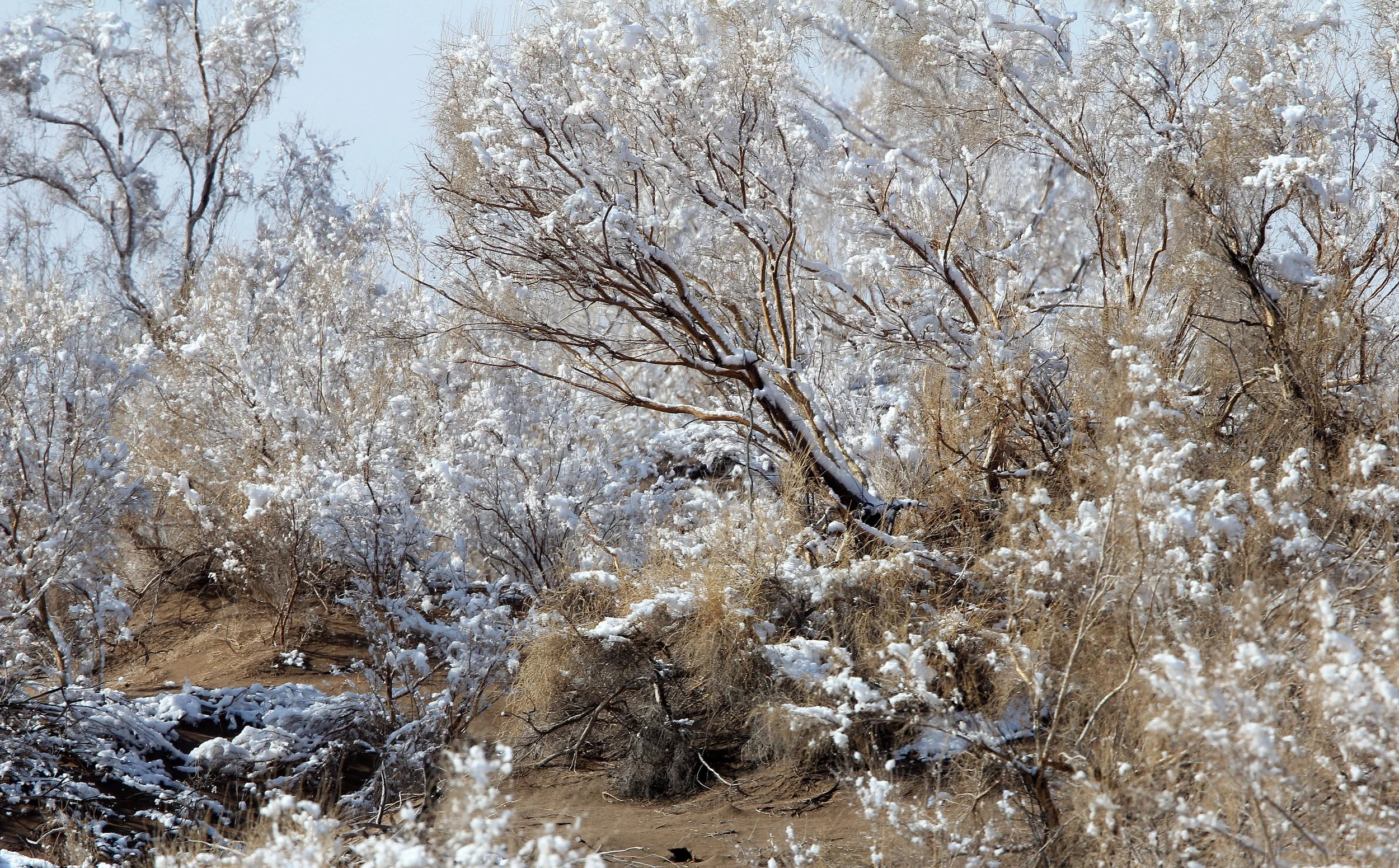 KARAMORI NATIONAL NATURE RESERVE - XINJIANG CHINA (56).JPG