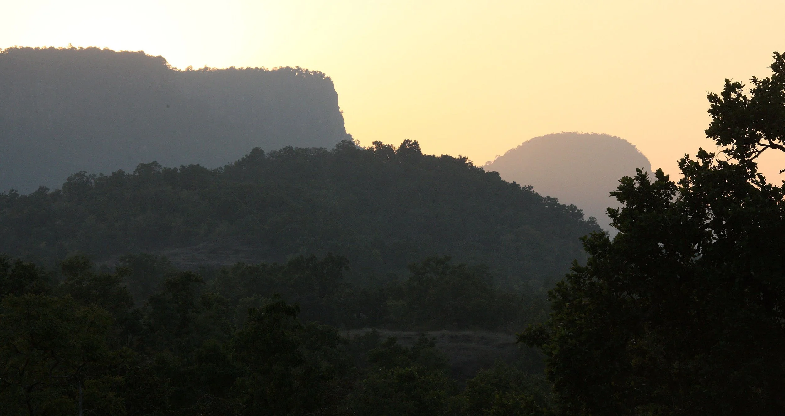 MADHYA PRADESH - BANDHAVGAR NATIONAL PARK MADHYA PRADESH INDIA (1).JPG