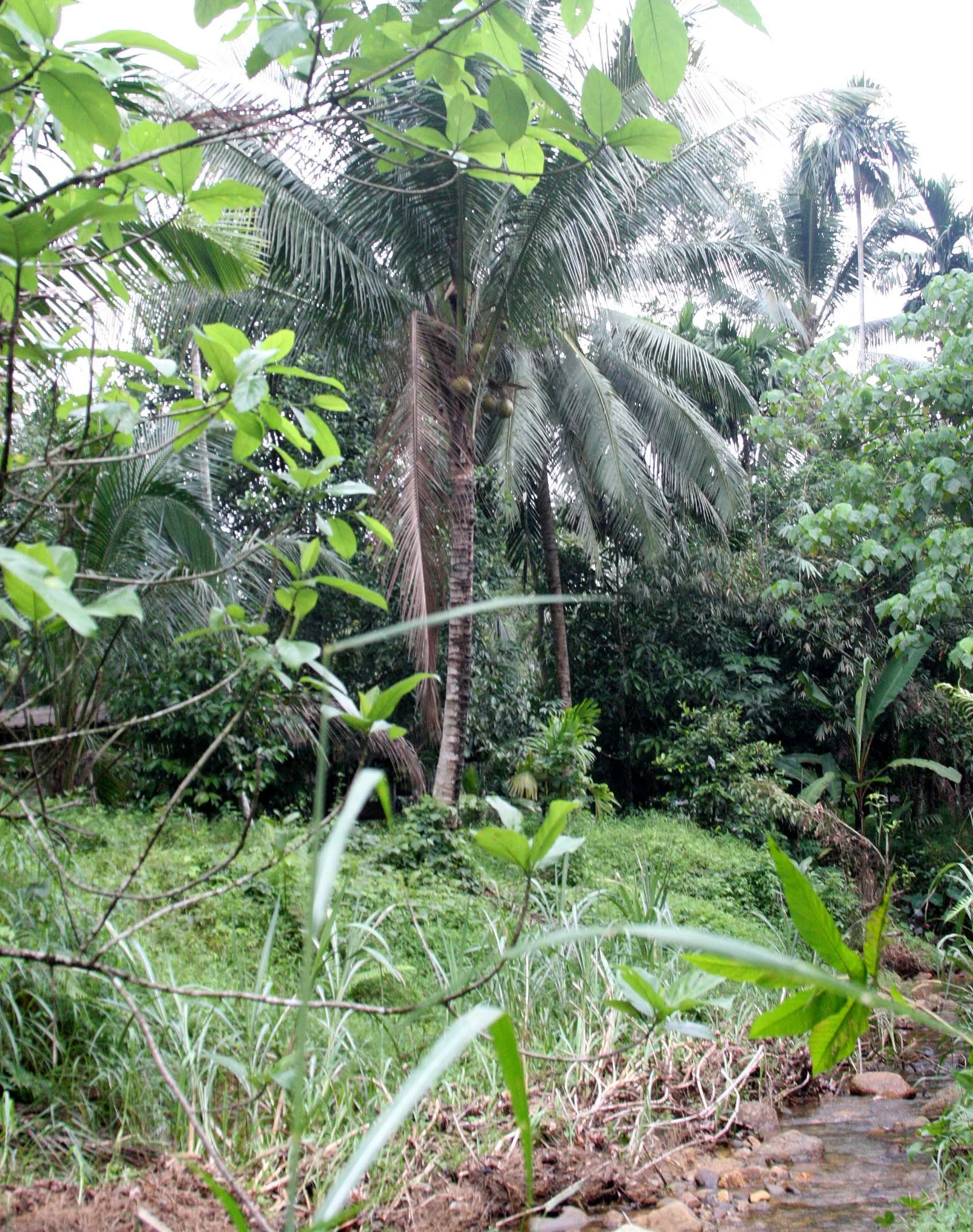 2009 Promluk Property Views (20).JPG