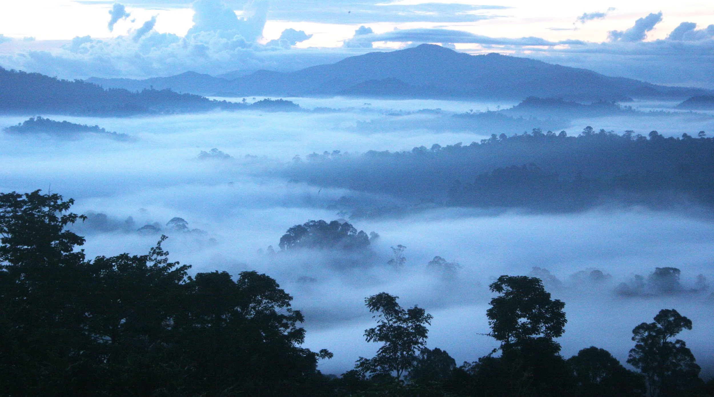 DANUM VALLEY BORNEO - SUNRISE OVER THE DANUM (19).JPG