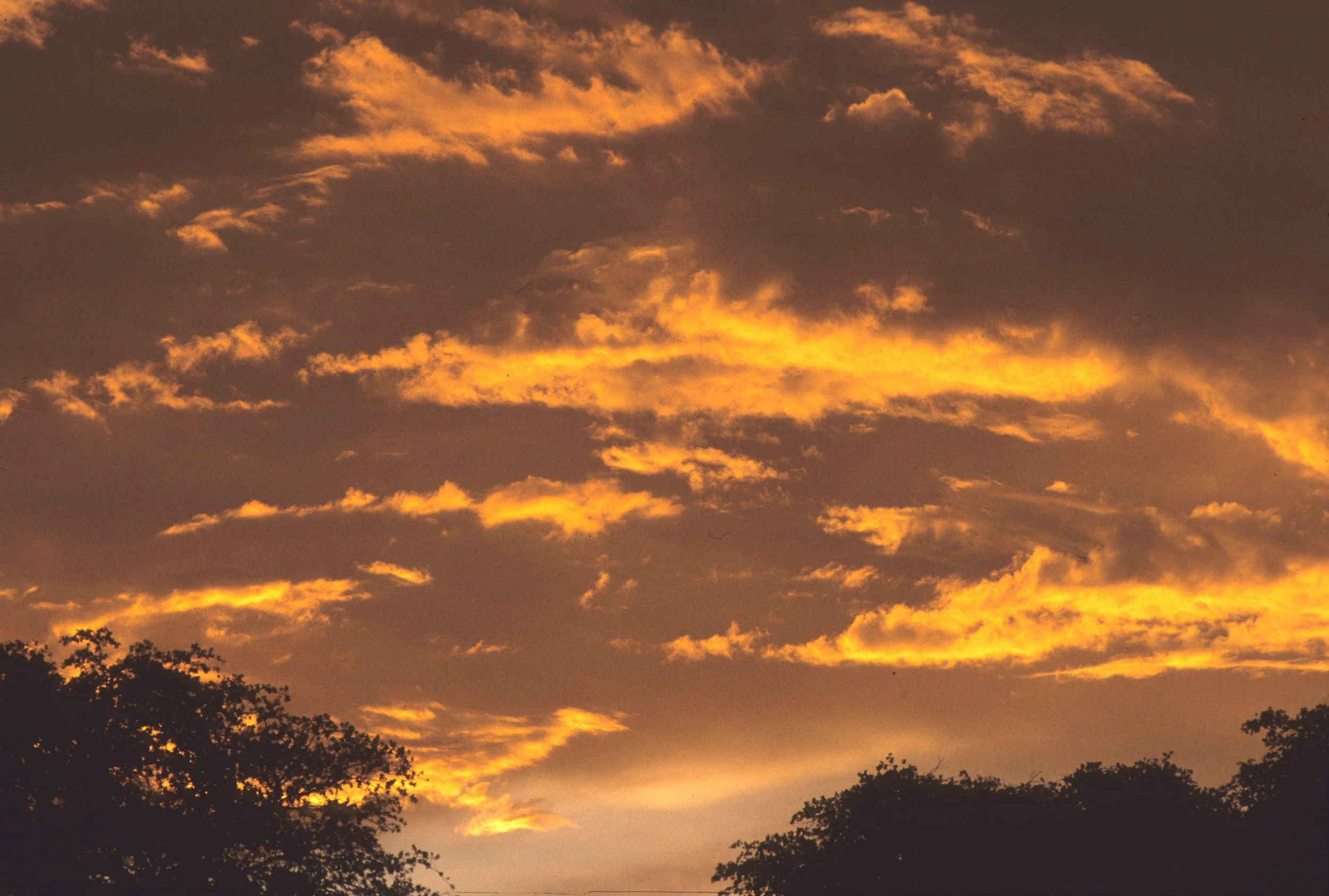 ARIZONA - MADERA CANYON - RESEARCH - SUNSET B.jpg