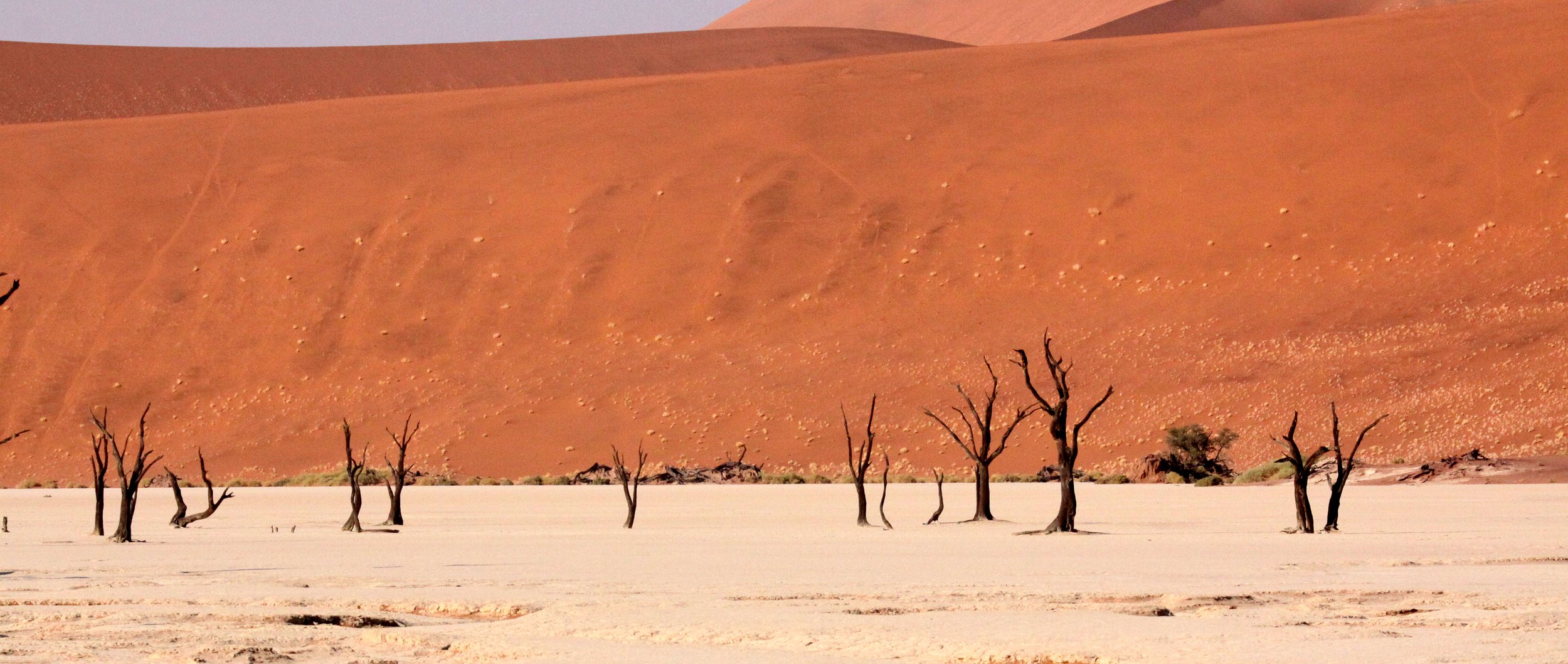 SOSSUSVLEI, NAMIB NAUKLUFT NATIONAL PARK, NAMIBIA - DEAD VLEI (56).JPG