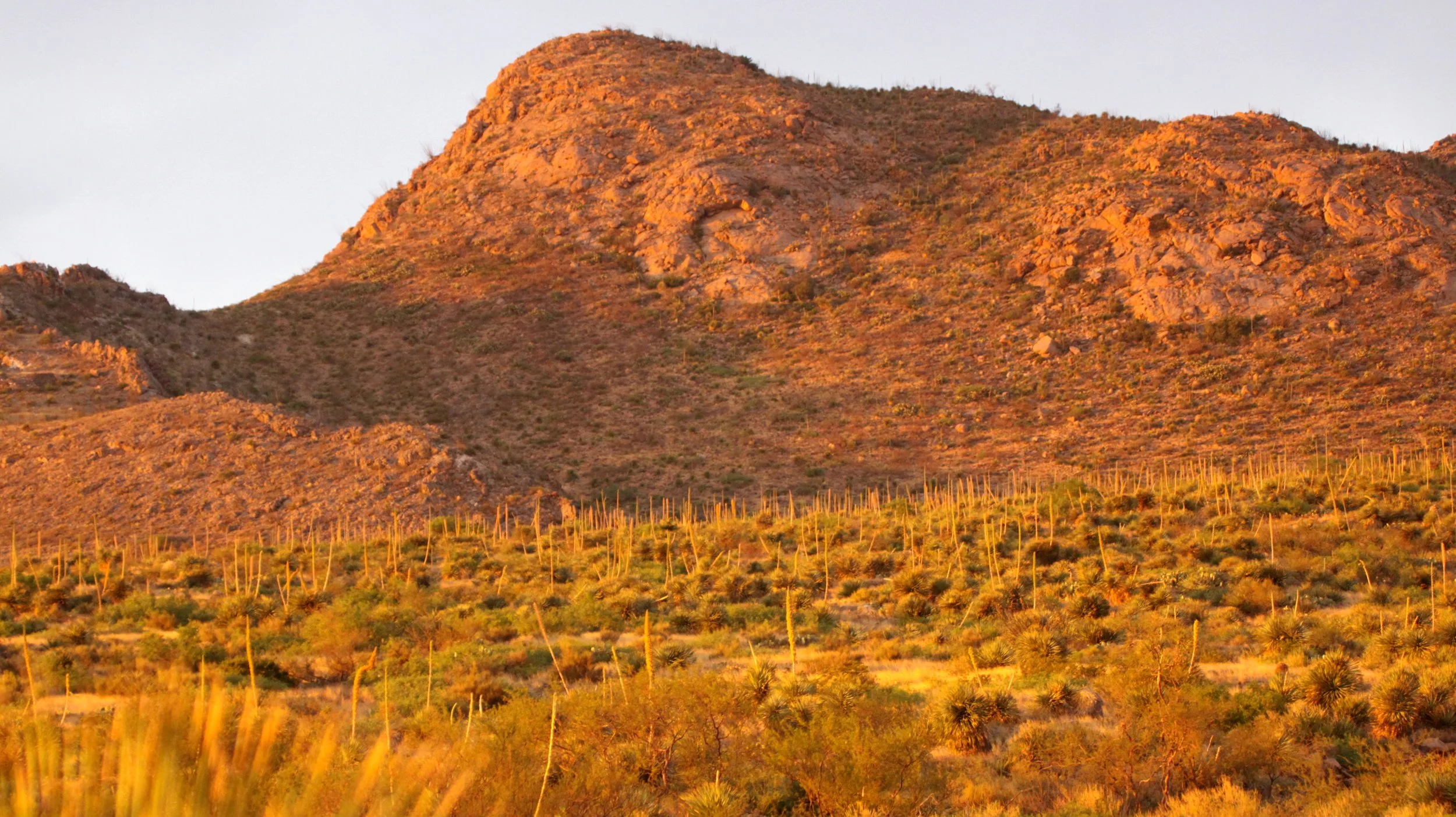 LAS CRUCES NEW MEXICO - ORGAN MOUNTAINS (23).JPG