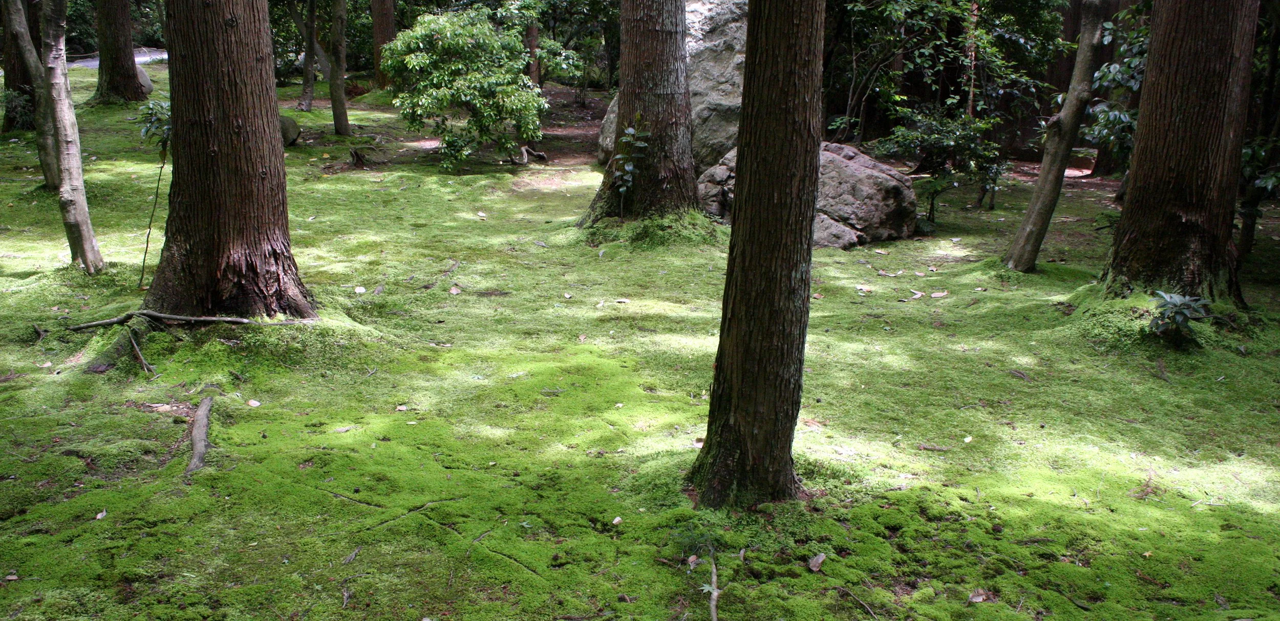 KYOTO - MAY 2009 - RYOANJI MOSS GARDENS (9).JPG