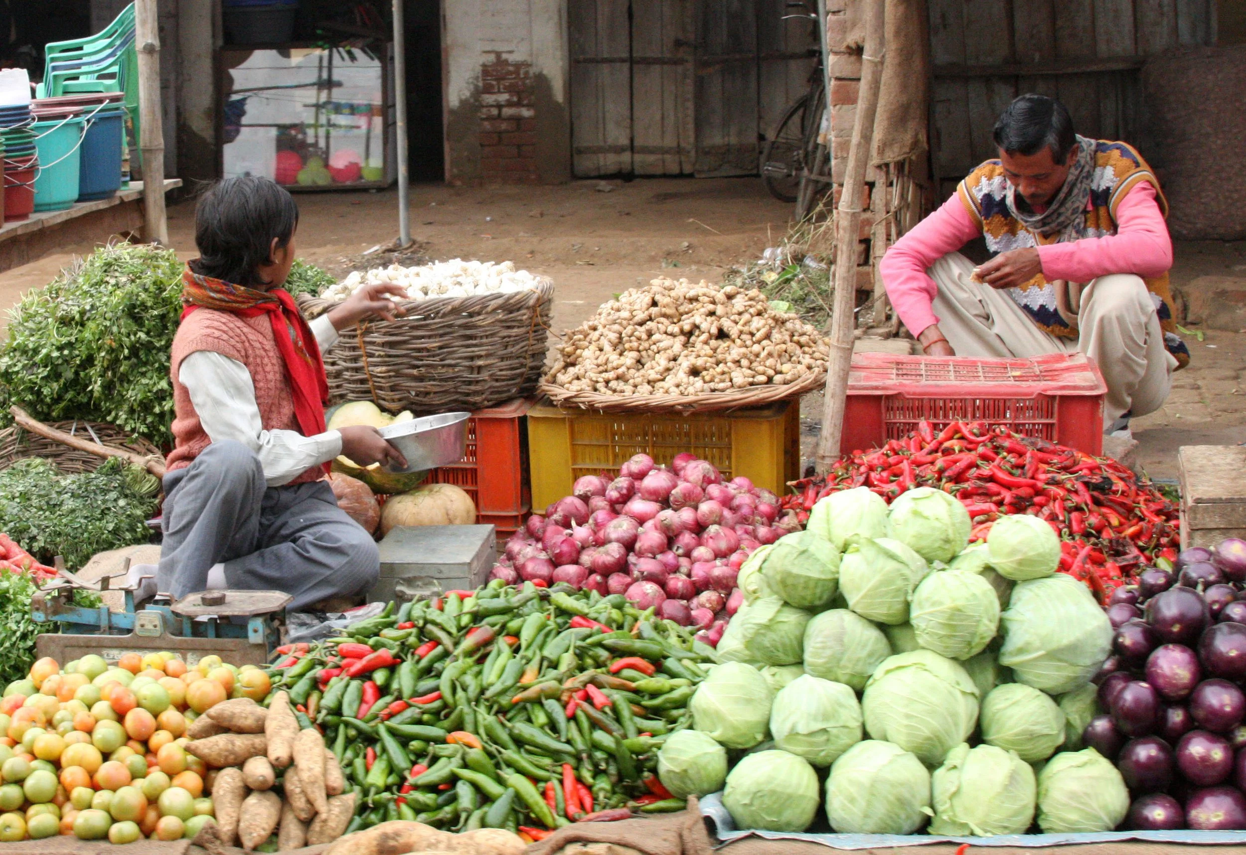 CHAMBAL RIVER SANCTUARY INDIA (21).JPG