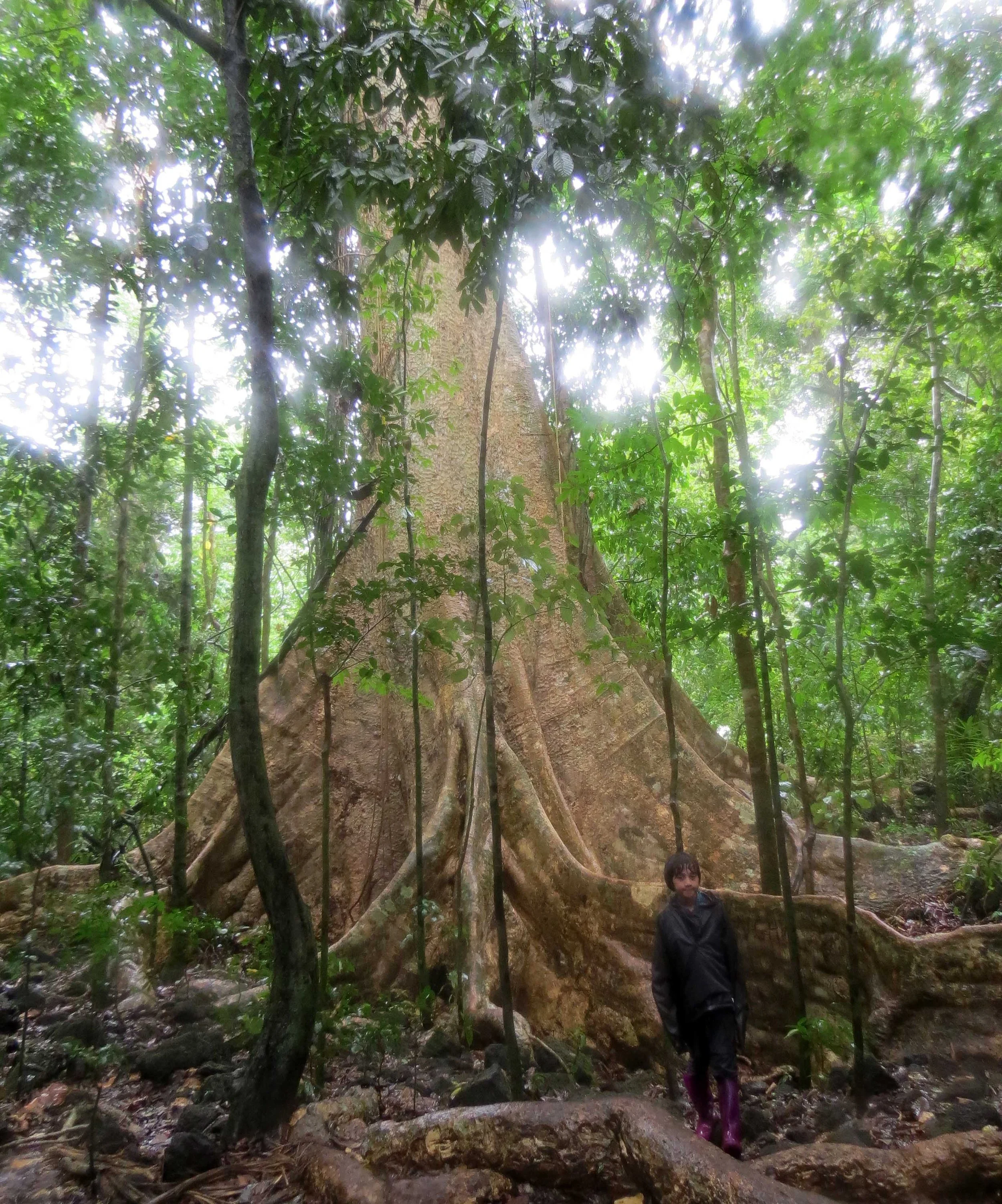 CAT TIEN NATIONAL PARK VIET NAM (112).JPG