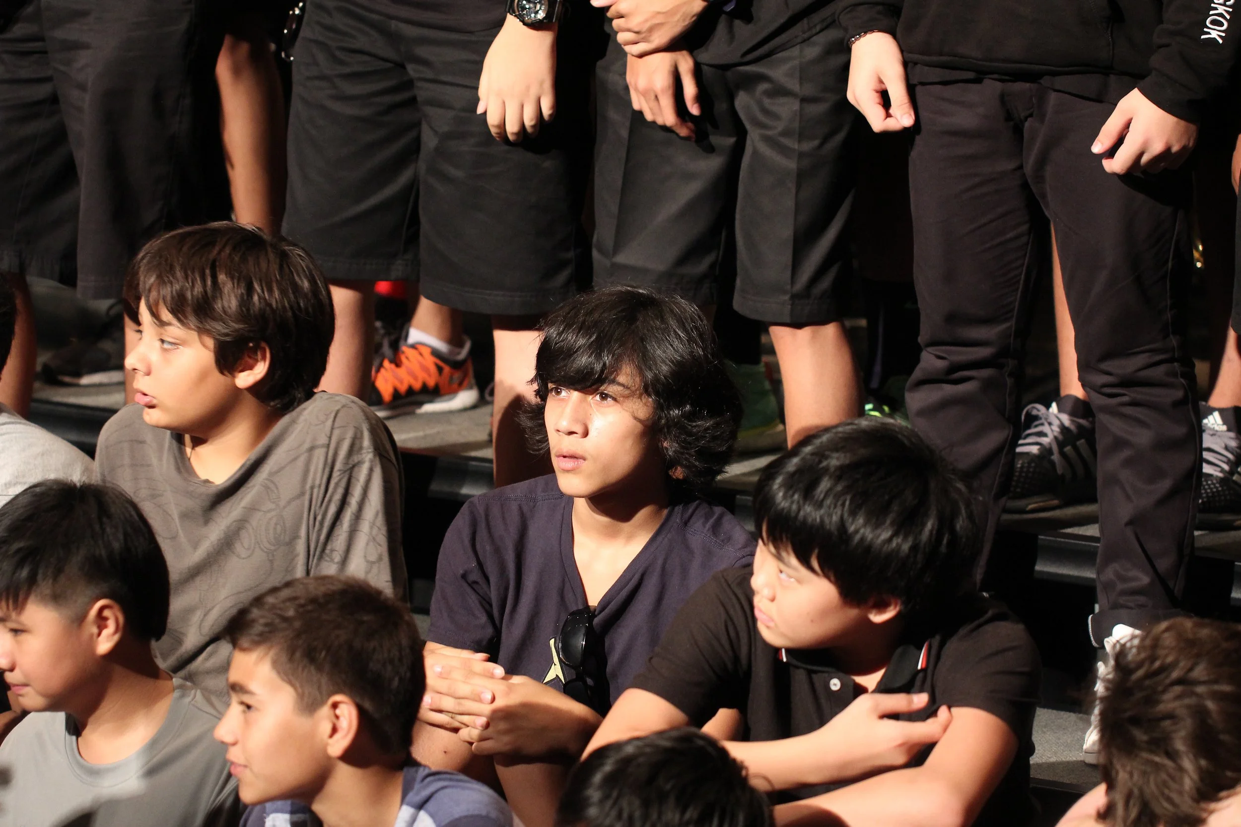 2015 Spring Concert for Cokie at ISB (11).JPG