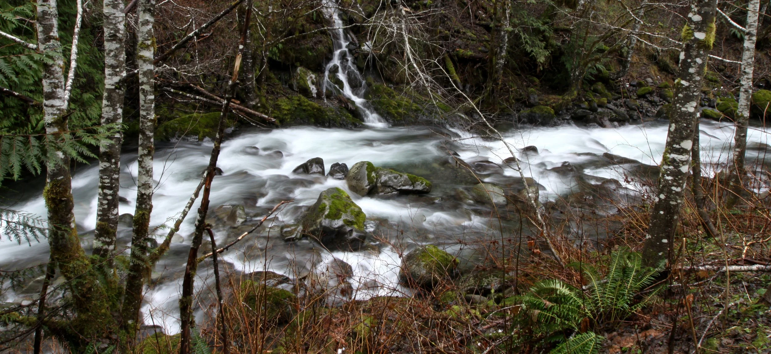 OLYMPIC HOTSPRINGS TRAIL - TRIBUTARY RIVER IN ELWHA WATERSHED (4).JPG