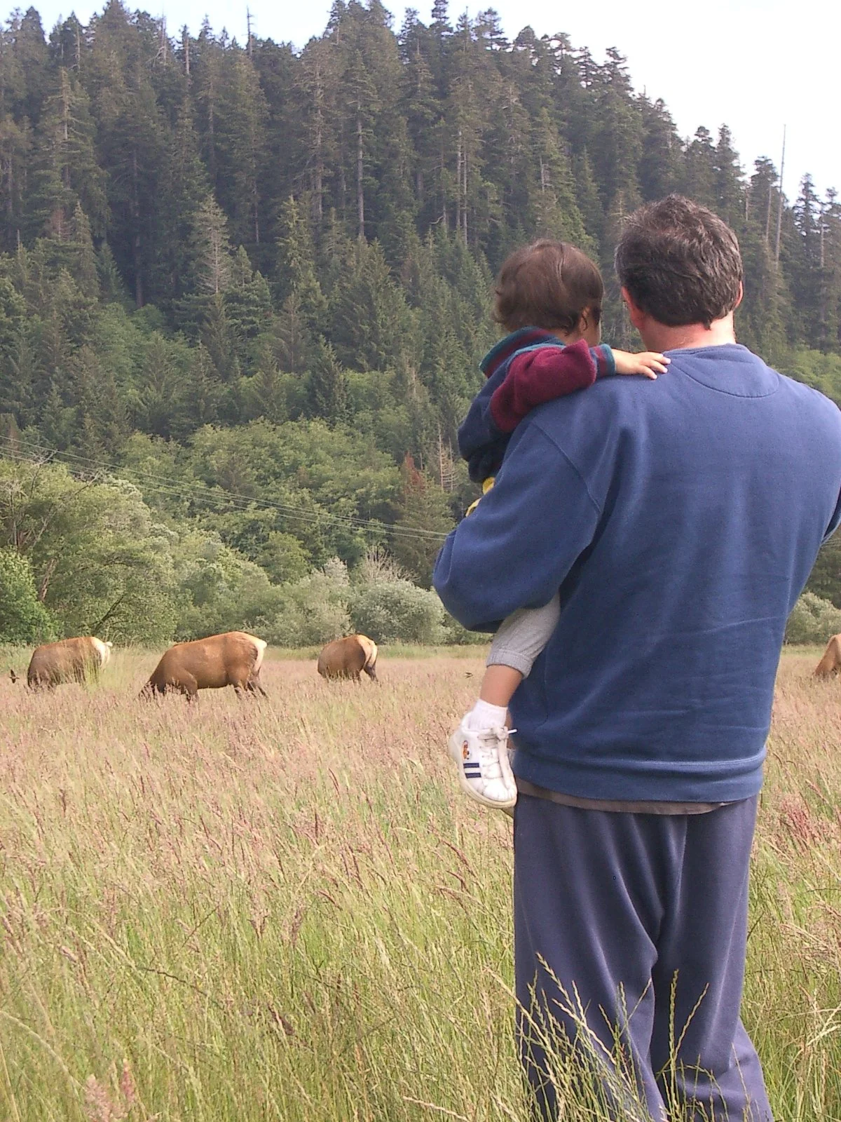 2004-6-12 LARRY AND KATRIS WEDDING IN EUREKA CALIFORNIA (114).JPG