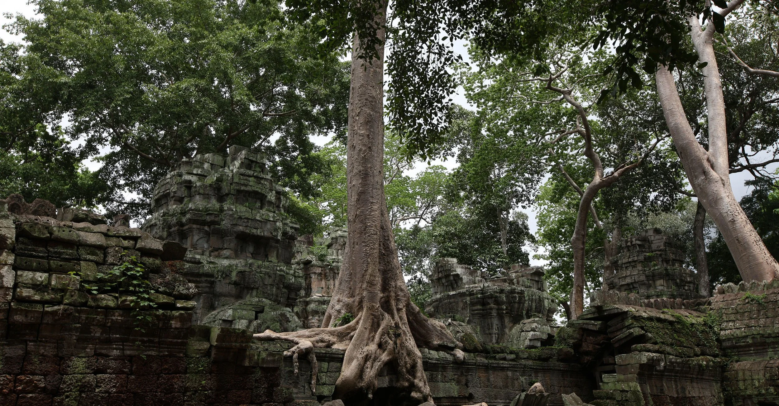 TA PROHM TEMPLE CAMBODIA - JULY 2010 (9).JPG