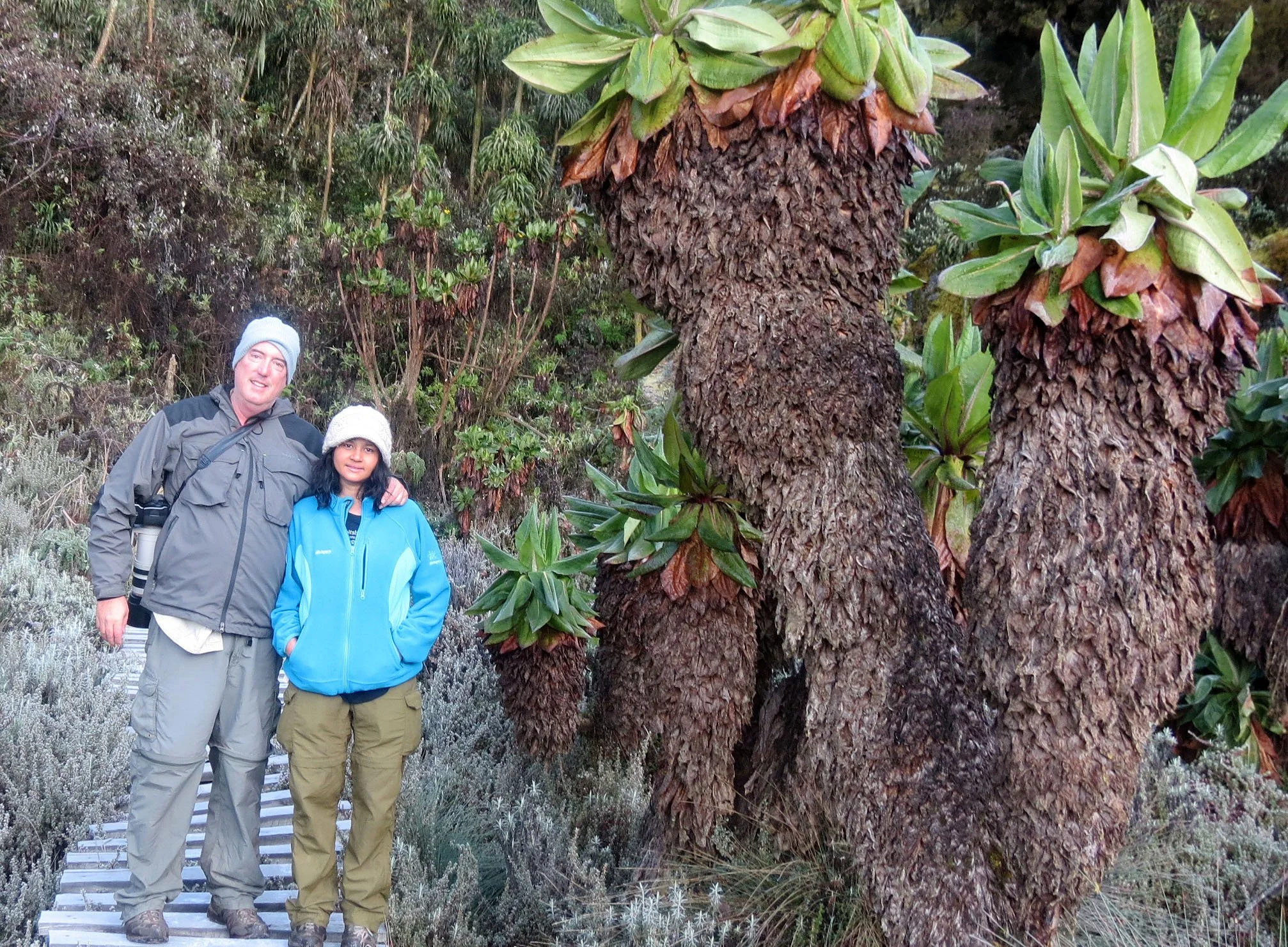 RWENZORI NATIONAL PARK UGANDA (217).JPG