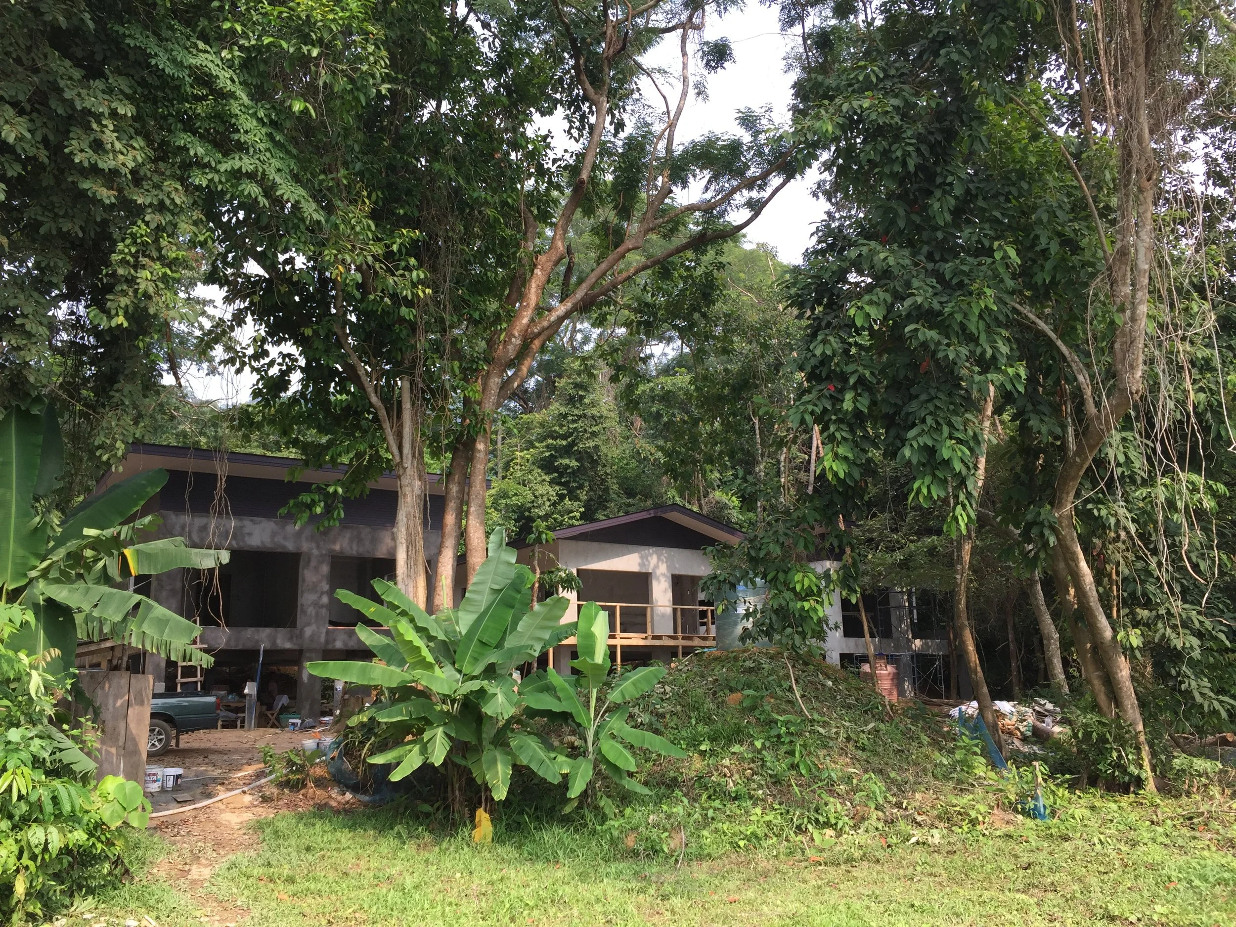 2015 Koh Lanta Garden & Nature (168).JPG