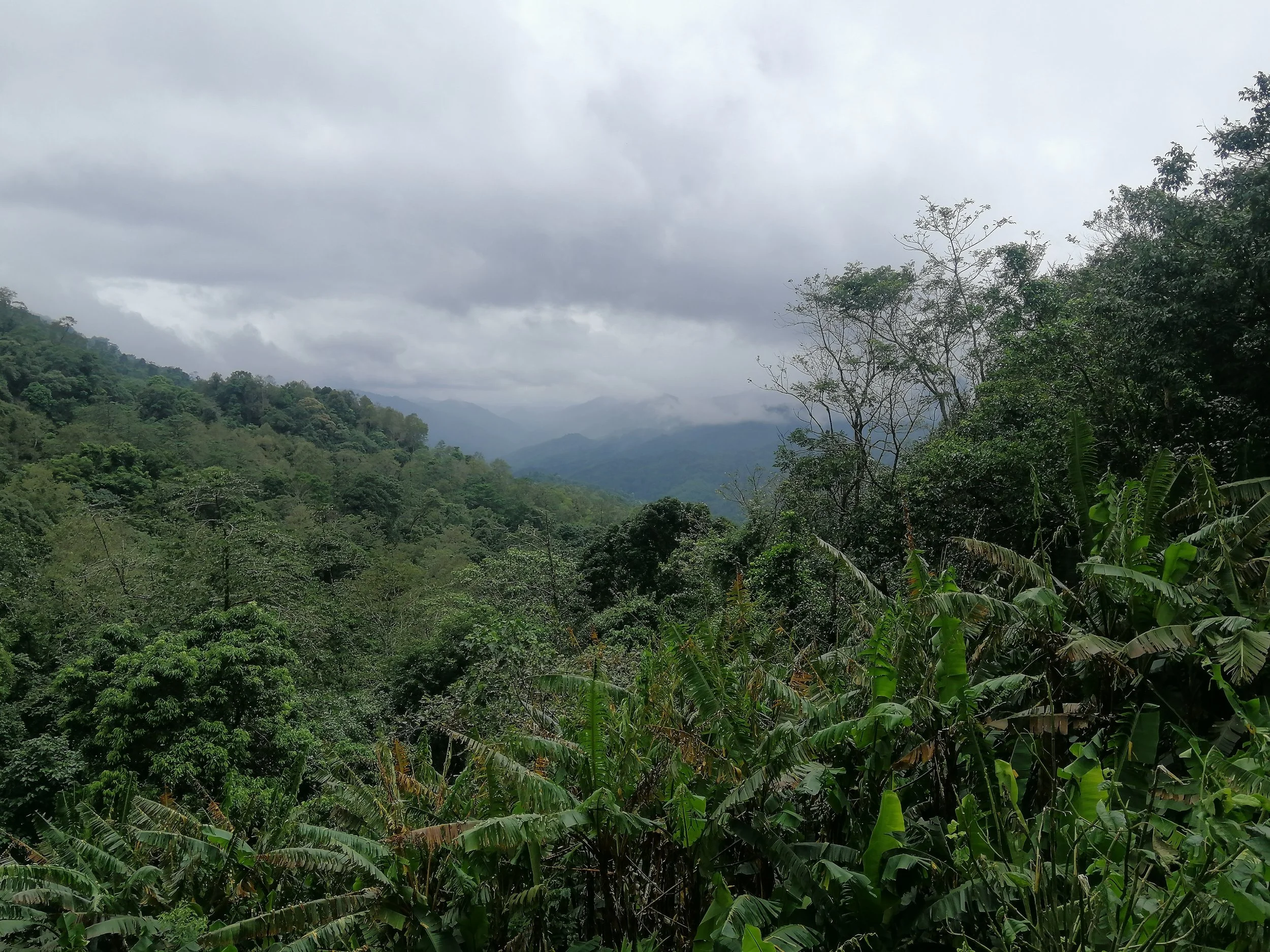 2021 Chong Yen and Surrounding Countryside (36).jpg