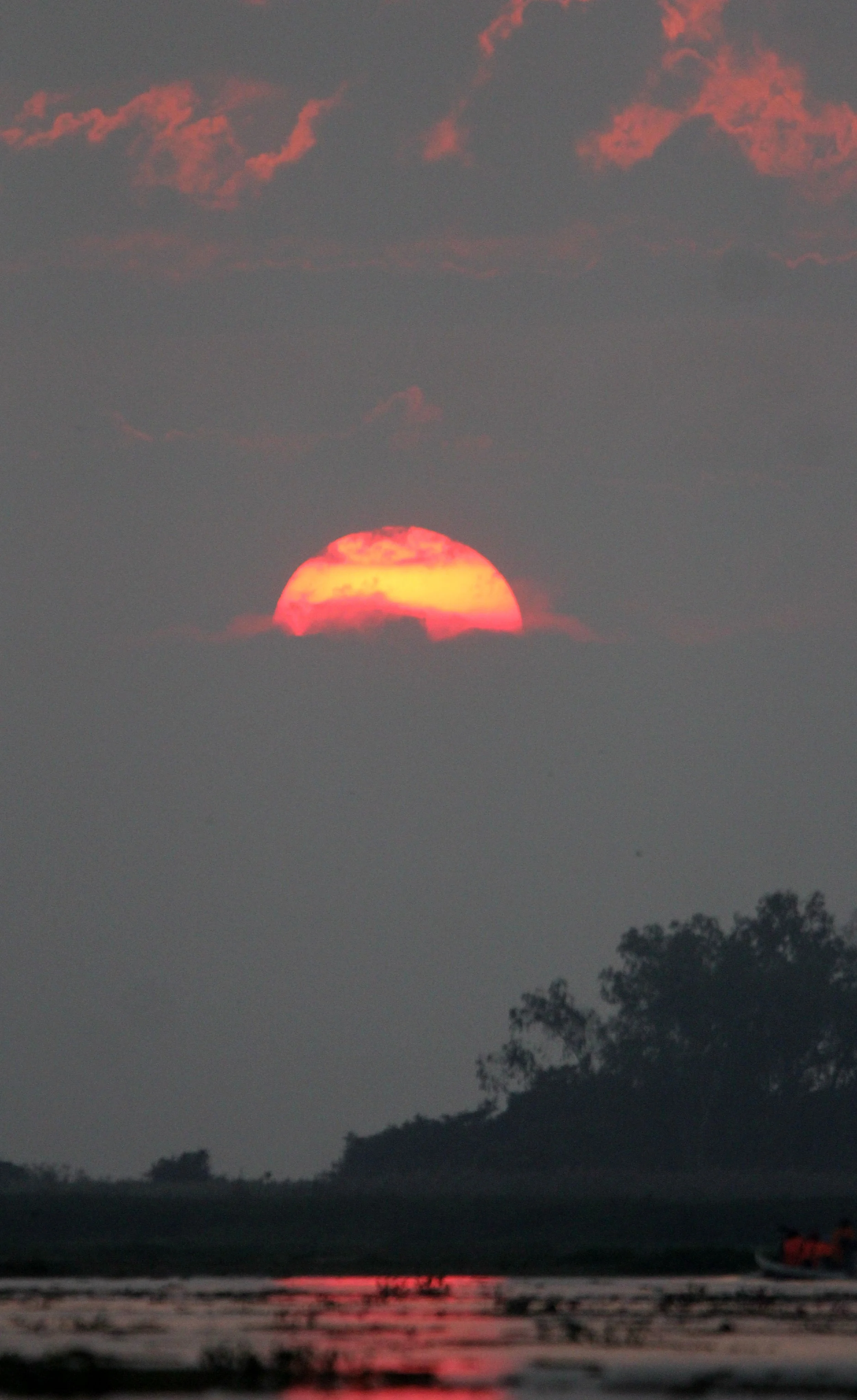 2018 Thale Noi Bird Sanctuary Patthalung (15).JPG