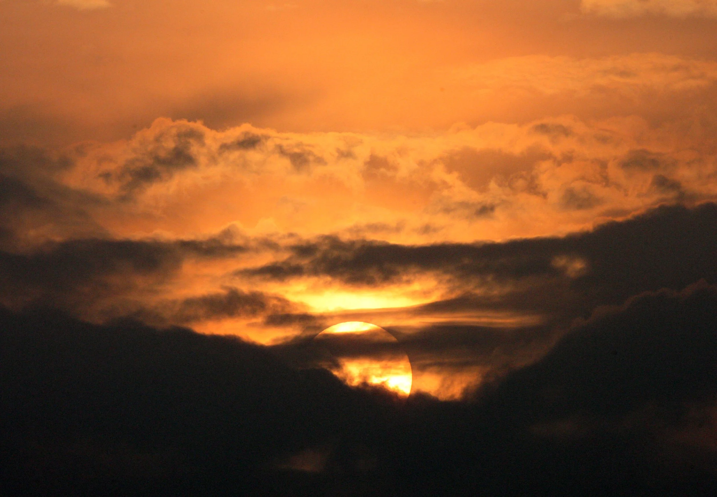 LANTA - SCENES FROM WINTER 2011 (22).JPG