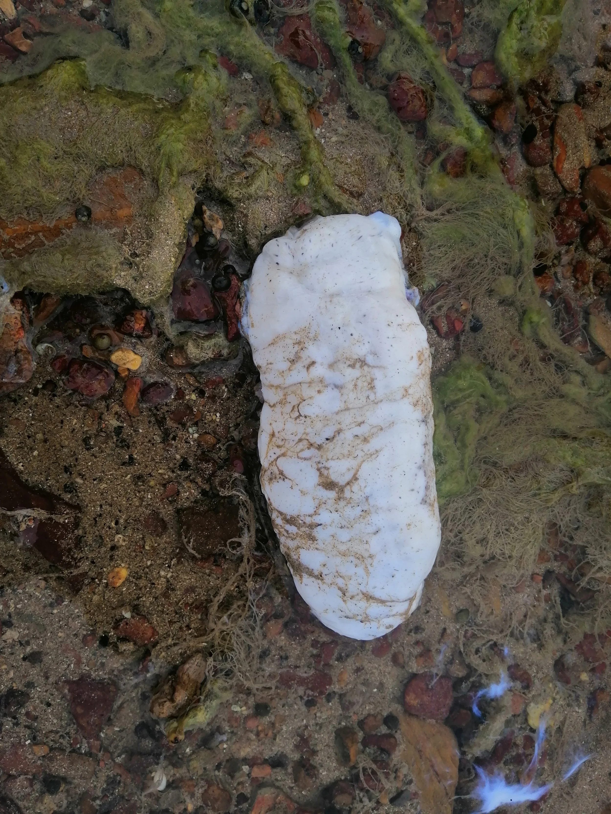 2018 Koh Lanta Misc  (107).jpg