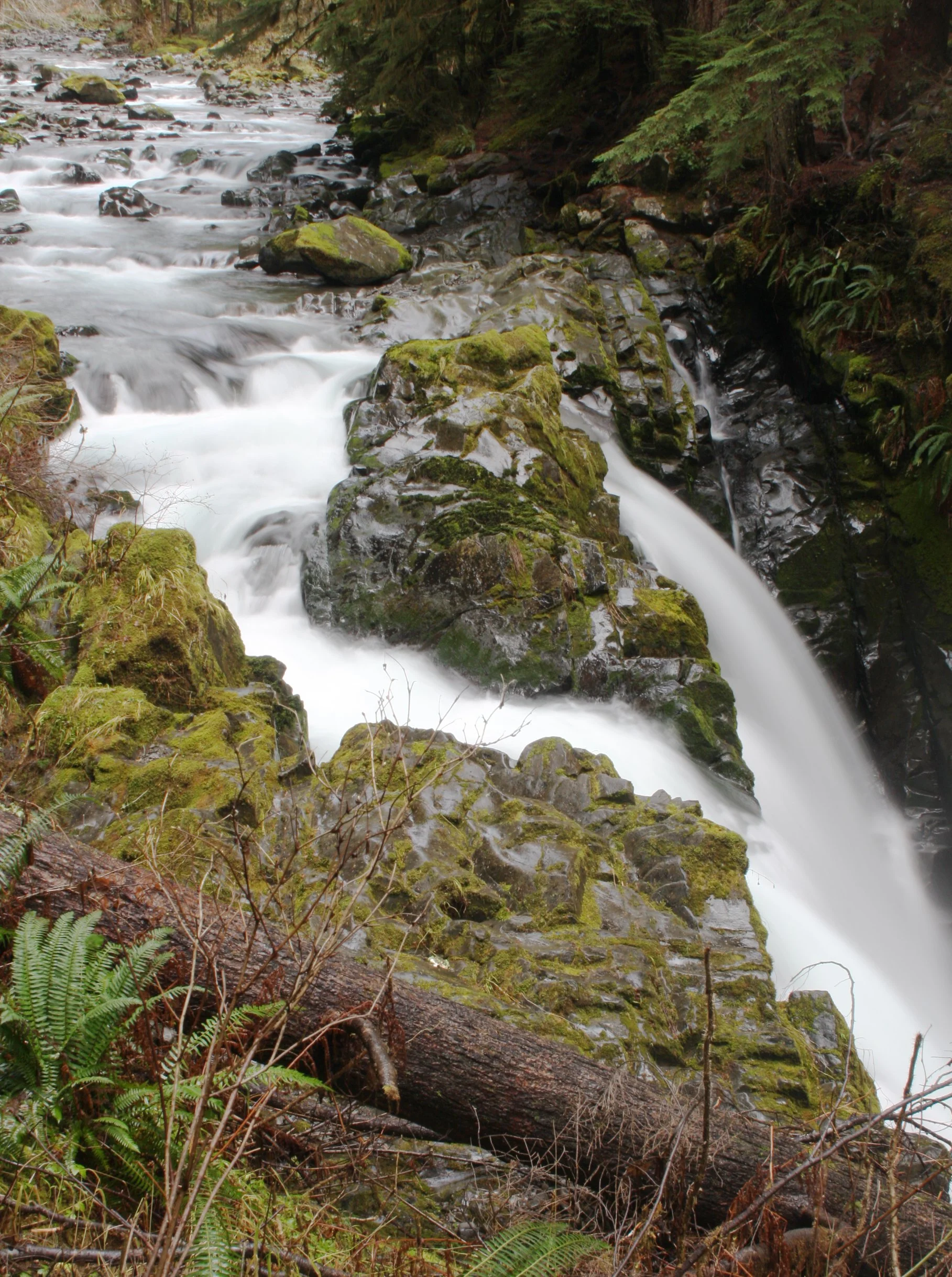 SOL DUC FALLS AND FOREST - ONP WA (35).JPG