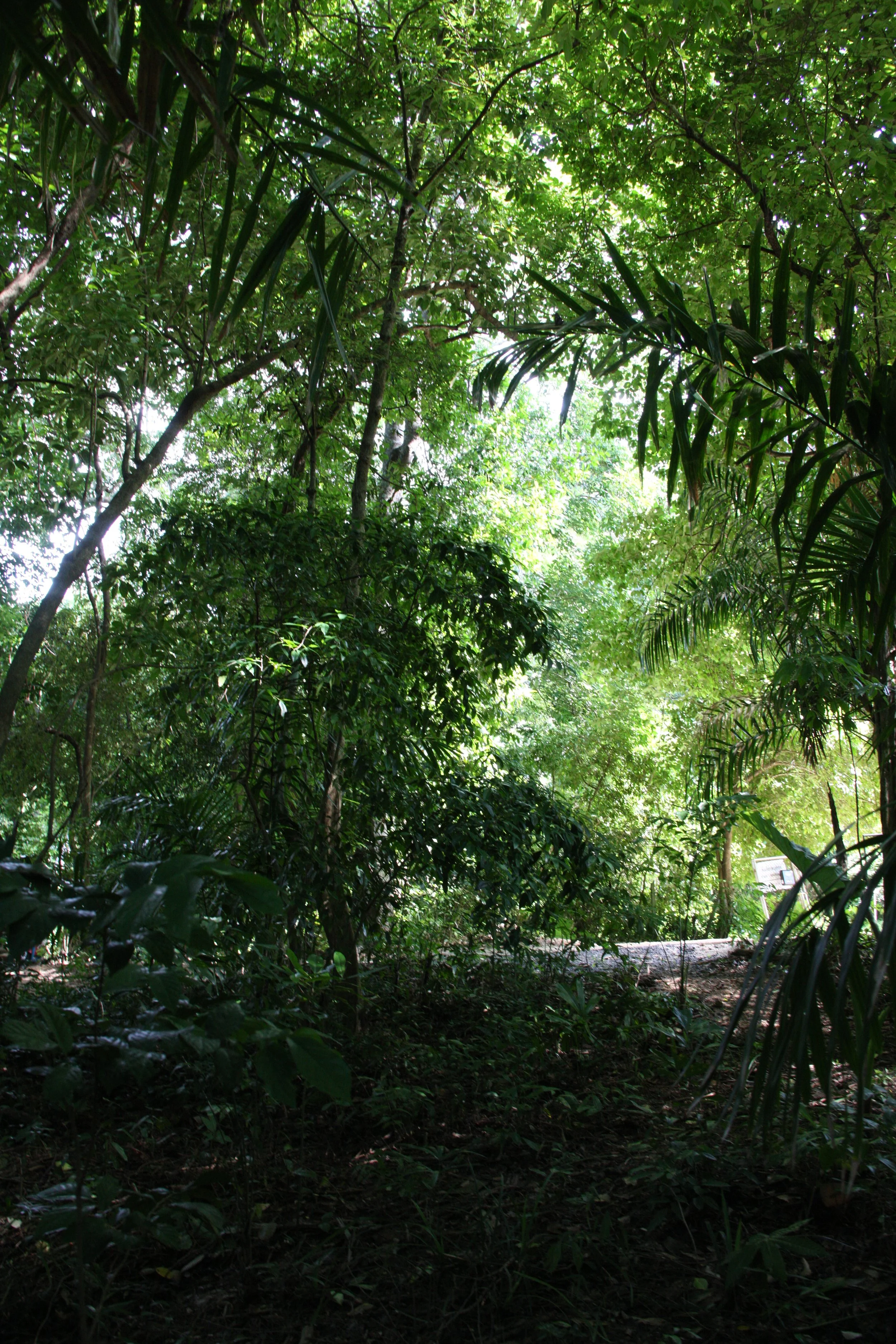 2016 Koh Lanta Landscapes, House Pictures and Family Fun (641).JPG
