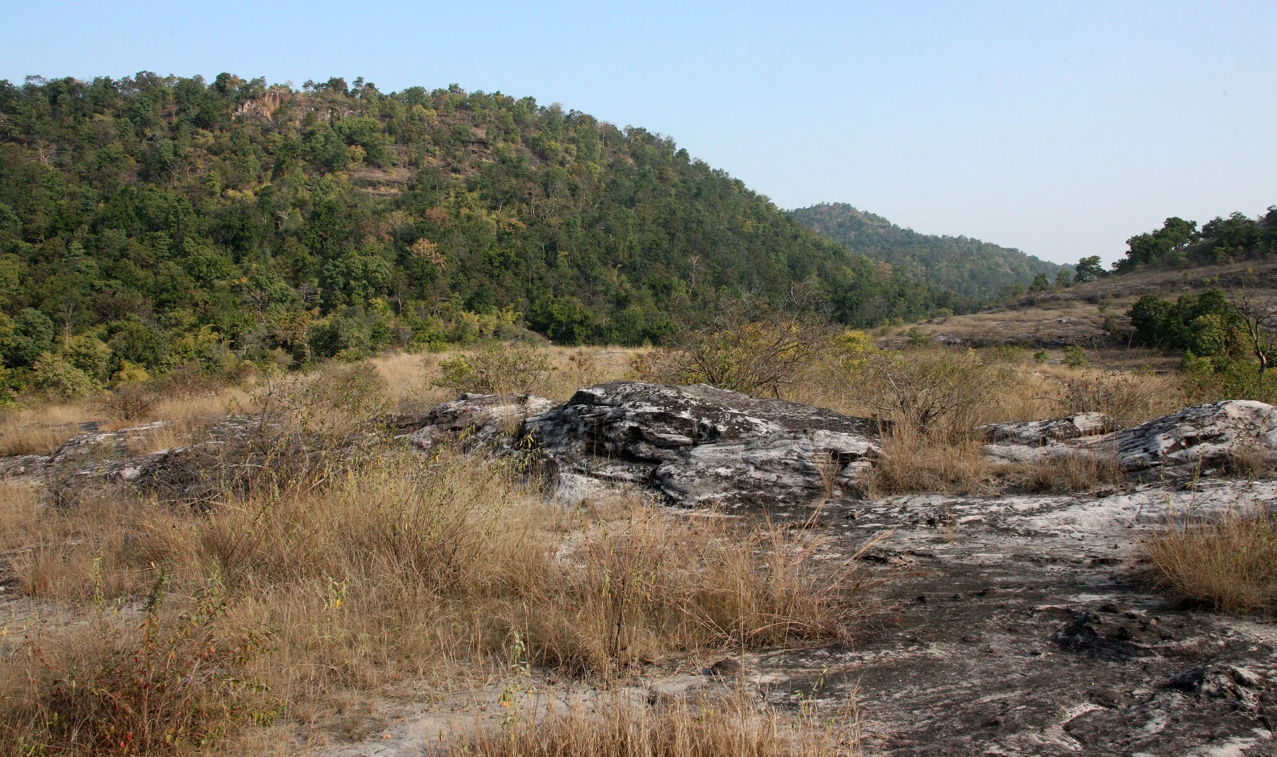 MADHYA PRADESH - BANDHAVGAR NATIONAL PARK MADHYA PRADESH INDIA (7).JPG