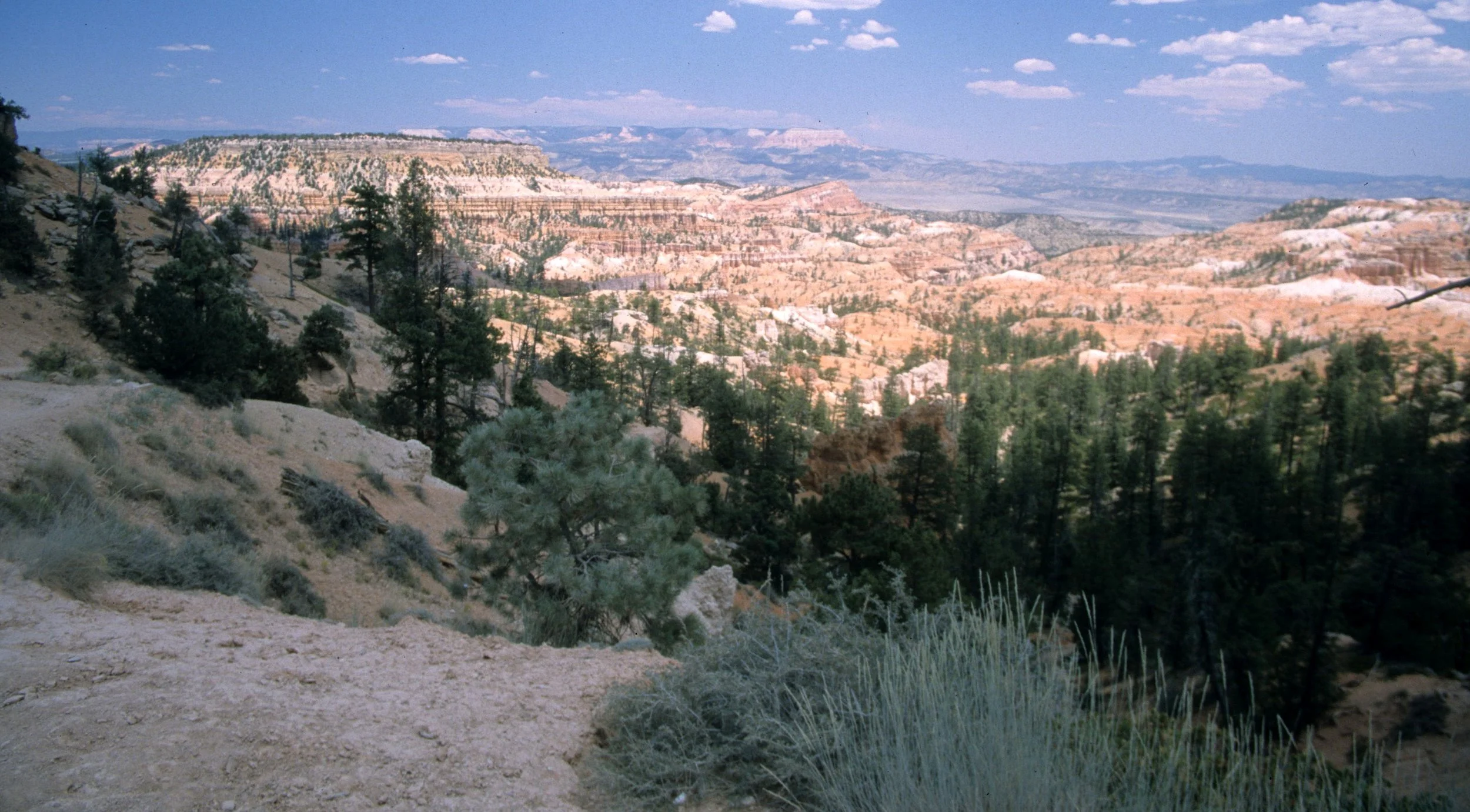 UTAH - BRYCE CANYON D.jpg