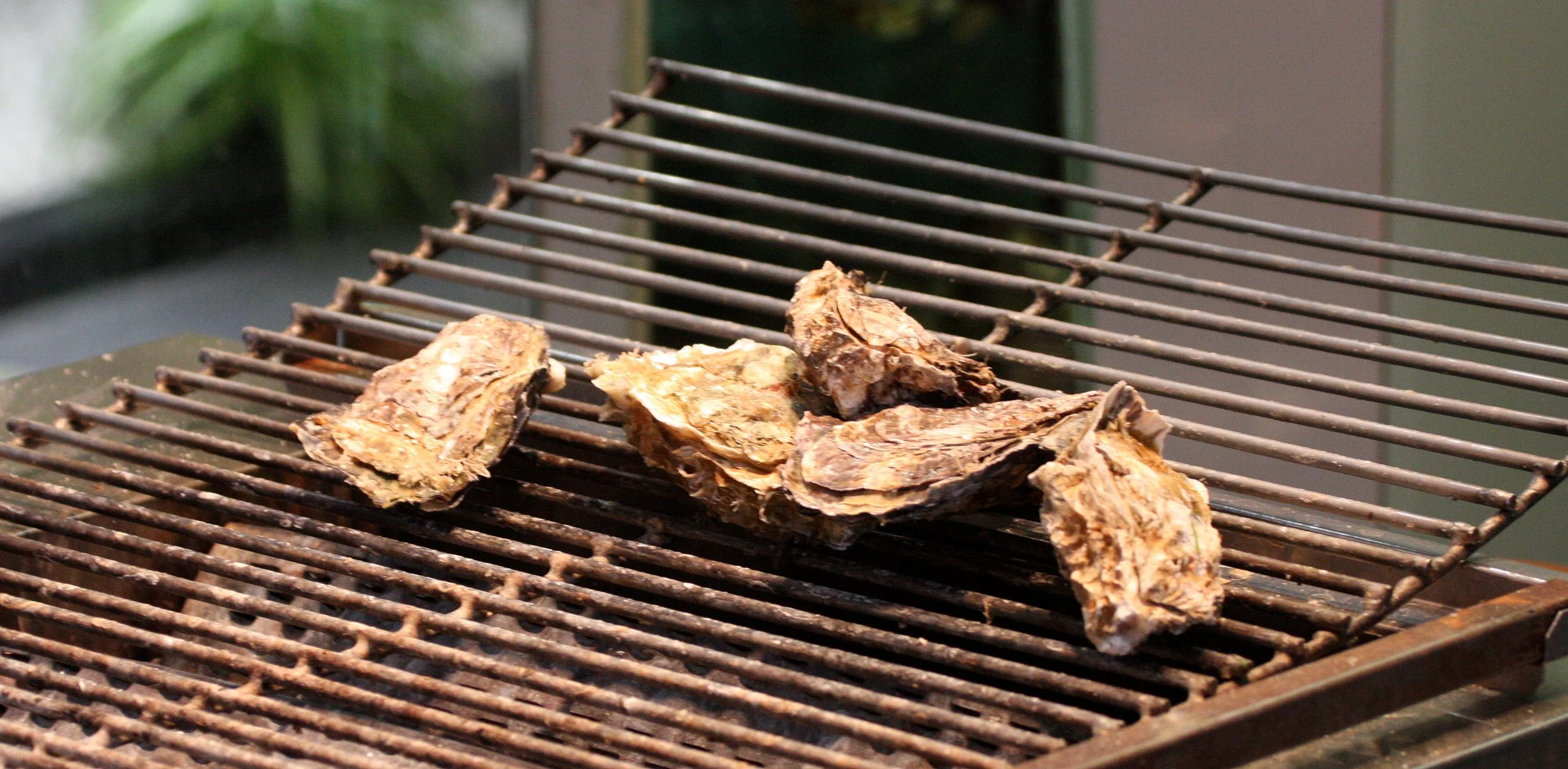 MIYAJIMA - MAY 2009 - SCENES AND LANDSCAPES (16).JPG